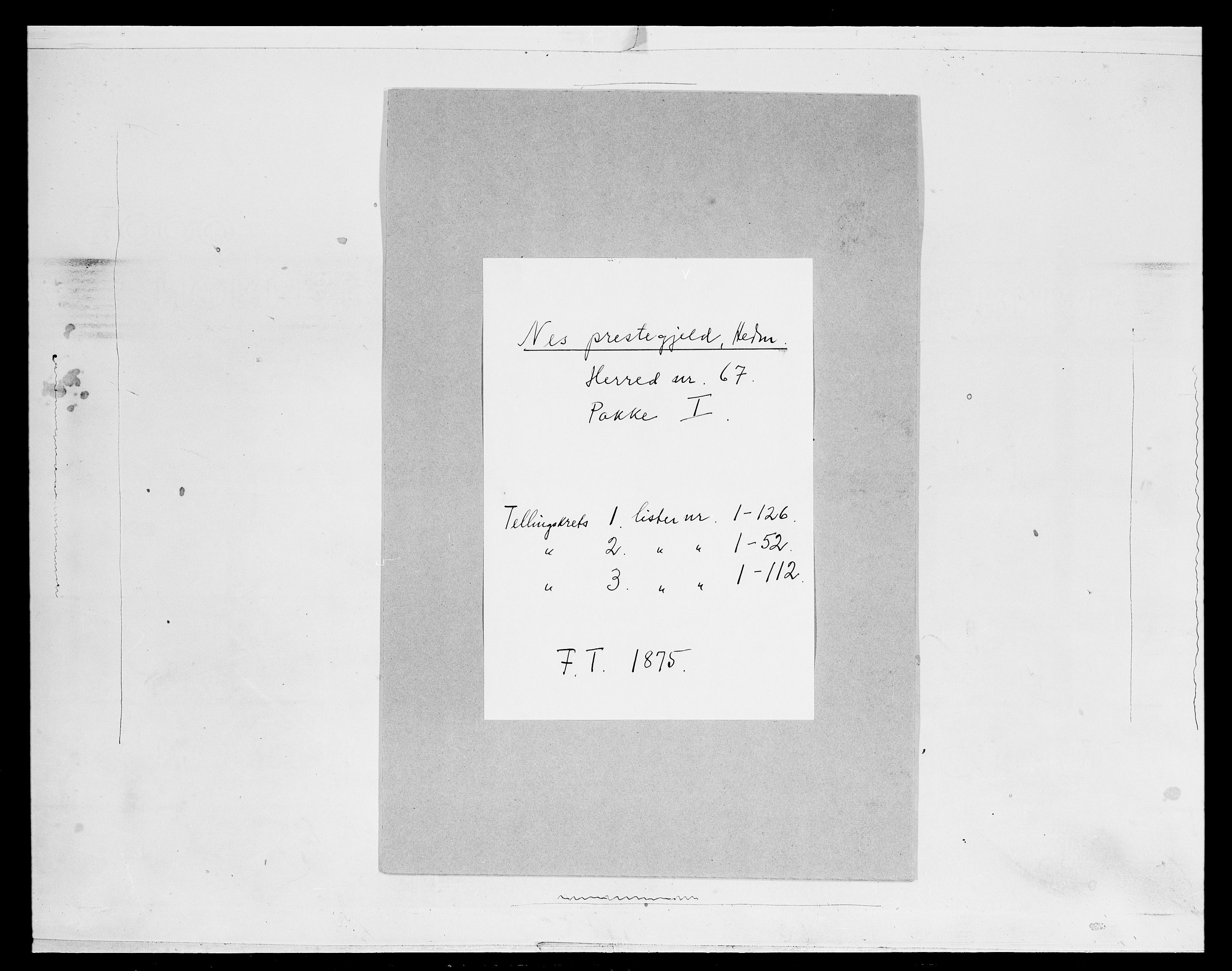 SAH, 1875 census for 0411P Nes, 1875, p. 78