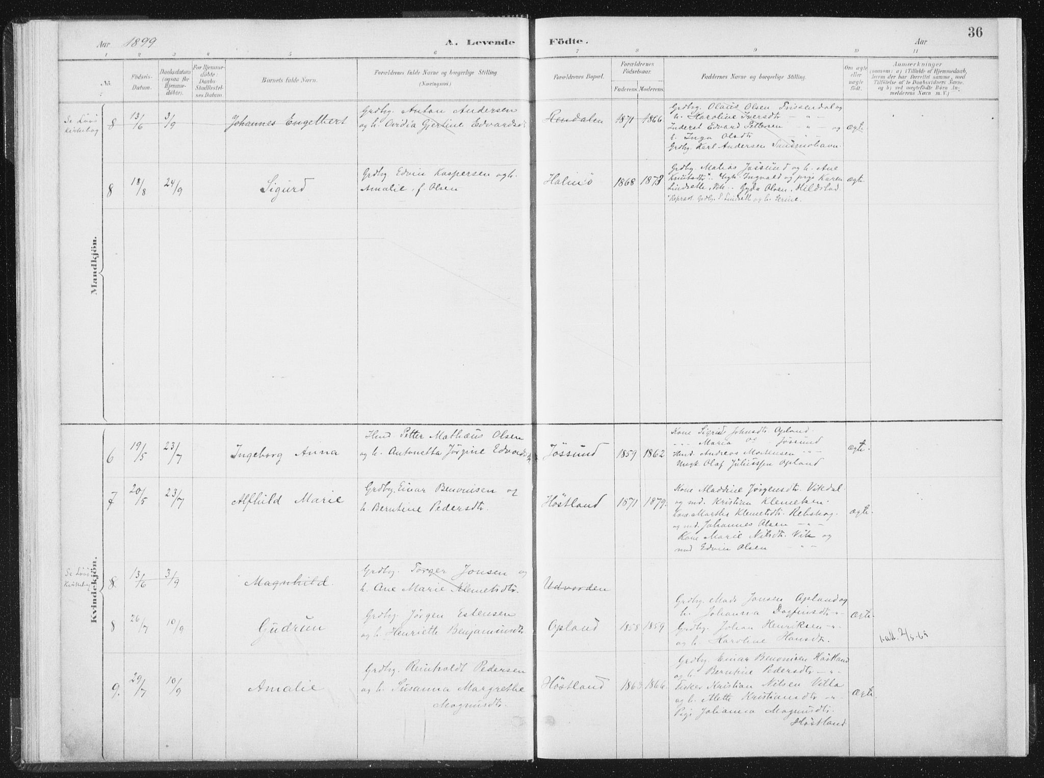 Ministerialprotokoller, klokkerbøker og fødselsregistre - Nord-Trøndelag, SAT/A-1458/771/L0597: Parish register (official) no. 771A04, 1885-1910, p. 36