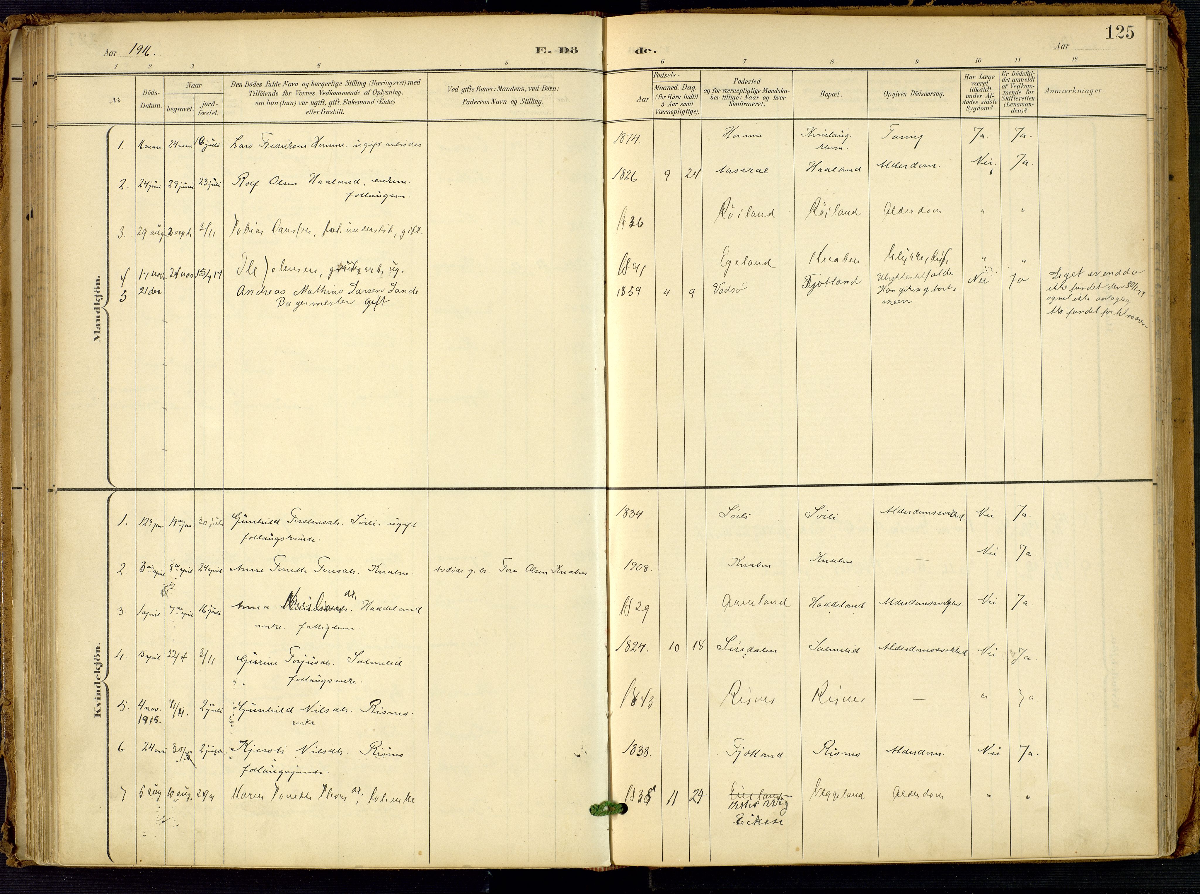 Fjotland sokneprestkontor, SAK/1111-0010/F/Fa/L0003: Parish register (official) no. A 3, 1899-1917, p. 125