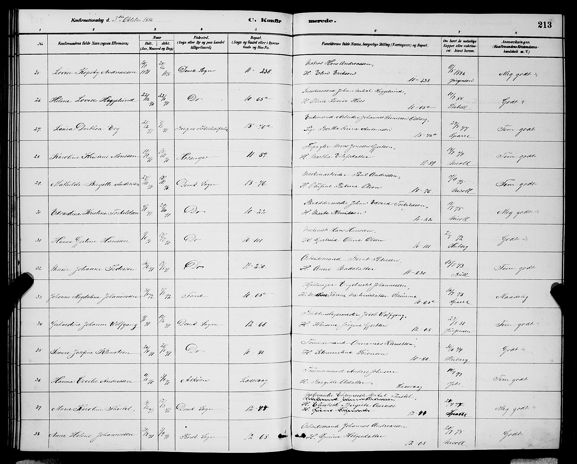 Domkirken sokneprestembete, SAB/A-74801/H/Hab/L0024: Parish register (copy) no. C 4, 1880-1899, p. 213