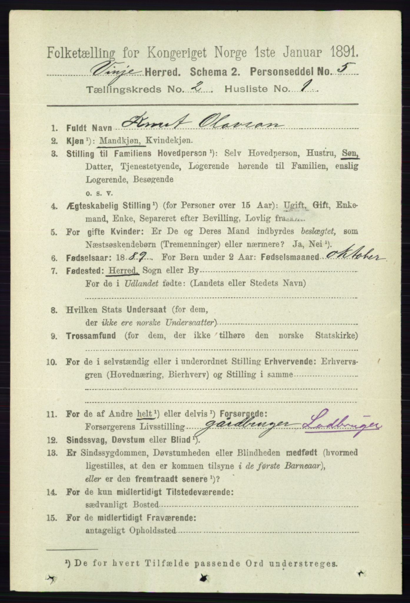 RA, 1891 census for 0834 Vinje, 1891, p. 360