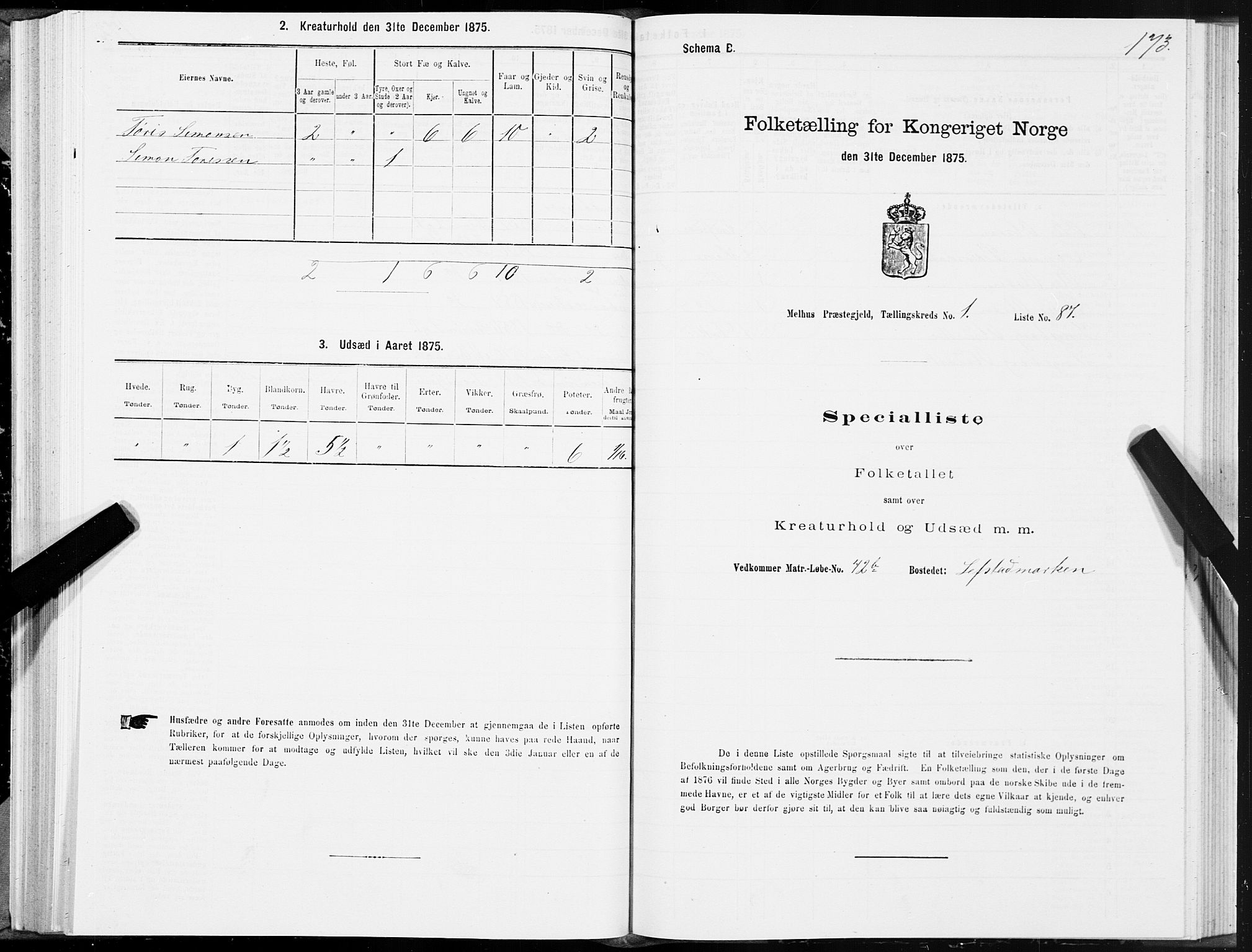 SAT, 1875 census for 1653P Melhus, 1875, p. 1173