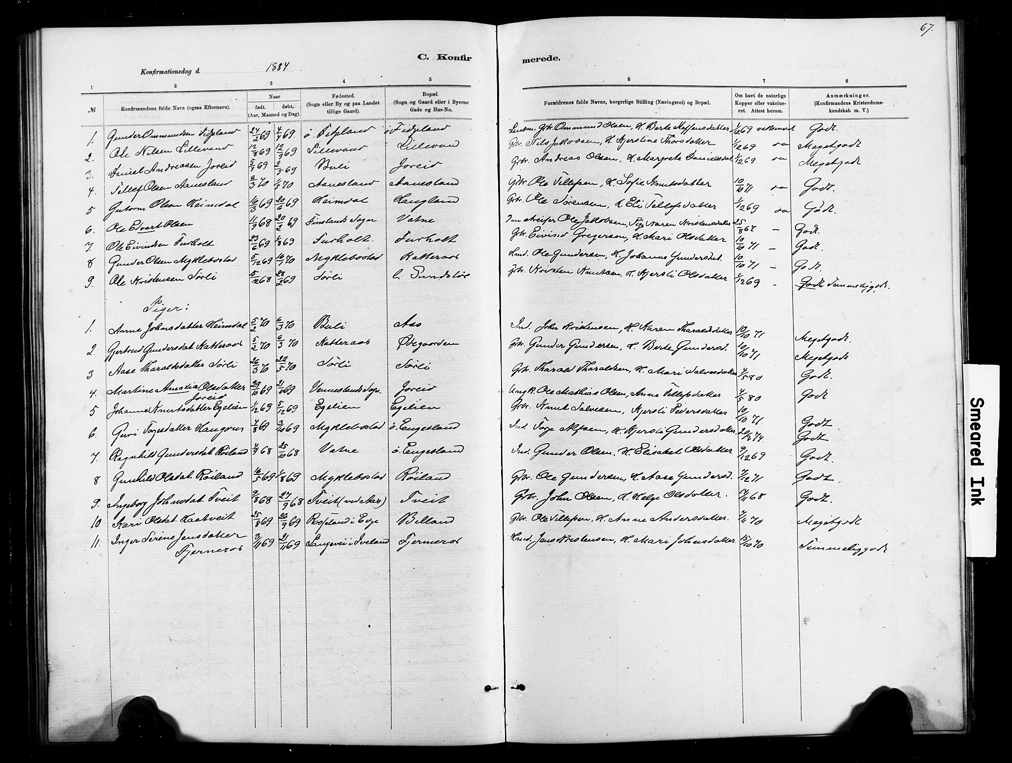 Herefoss sokneprestkontor, AV/SAK-1111-0019/F/Fb/Fbb/L0002: Parish register (copy) no. B 2, 1879-1894, p. 67