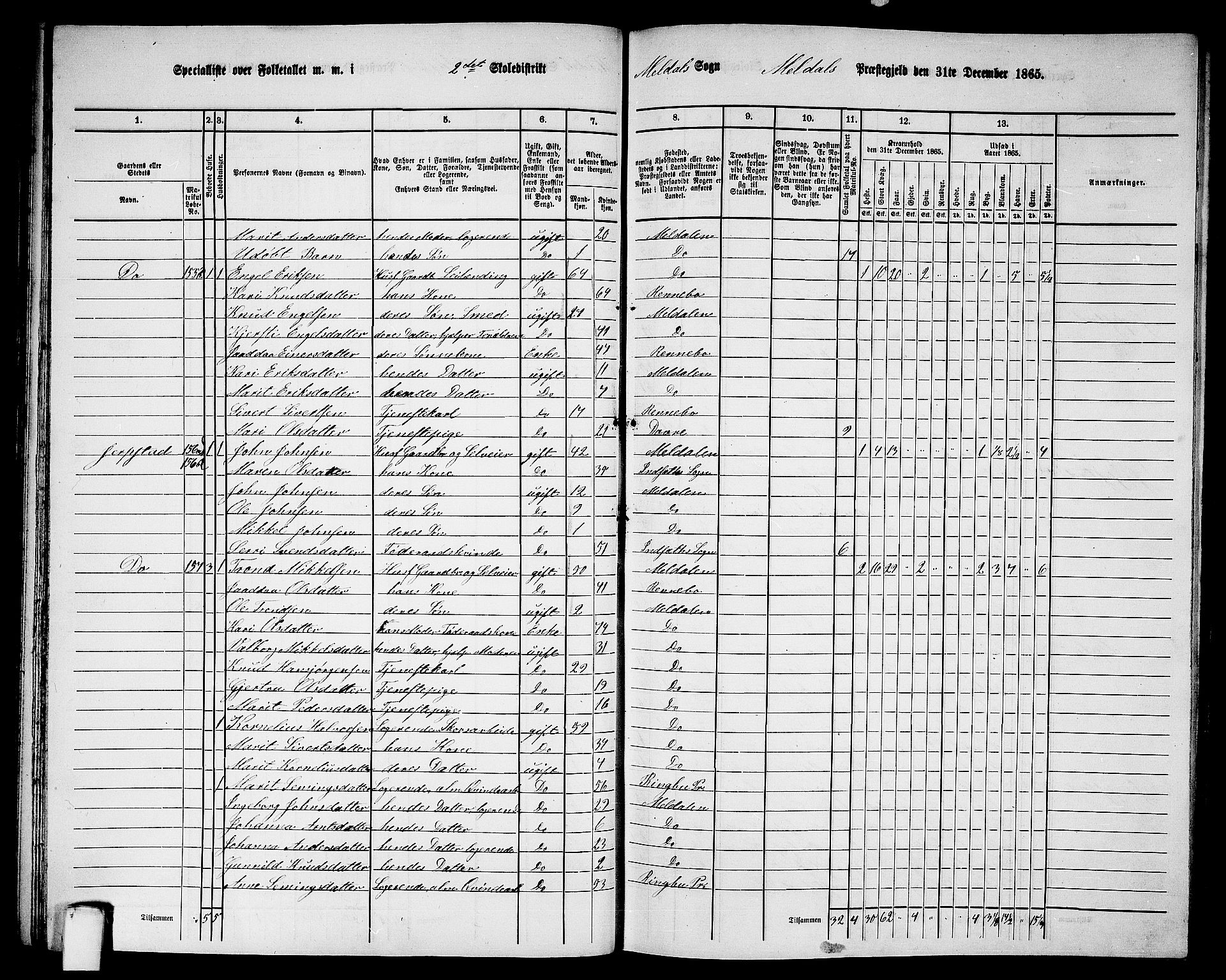 RA, 1865 census for Meldal, 1865, p. 53