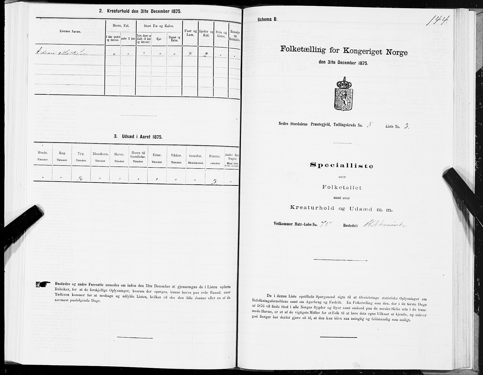 SAT, 1875 census for 1714P Nedre Stjørdal, 1875, p. 2144