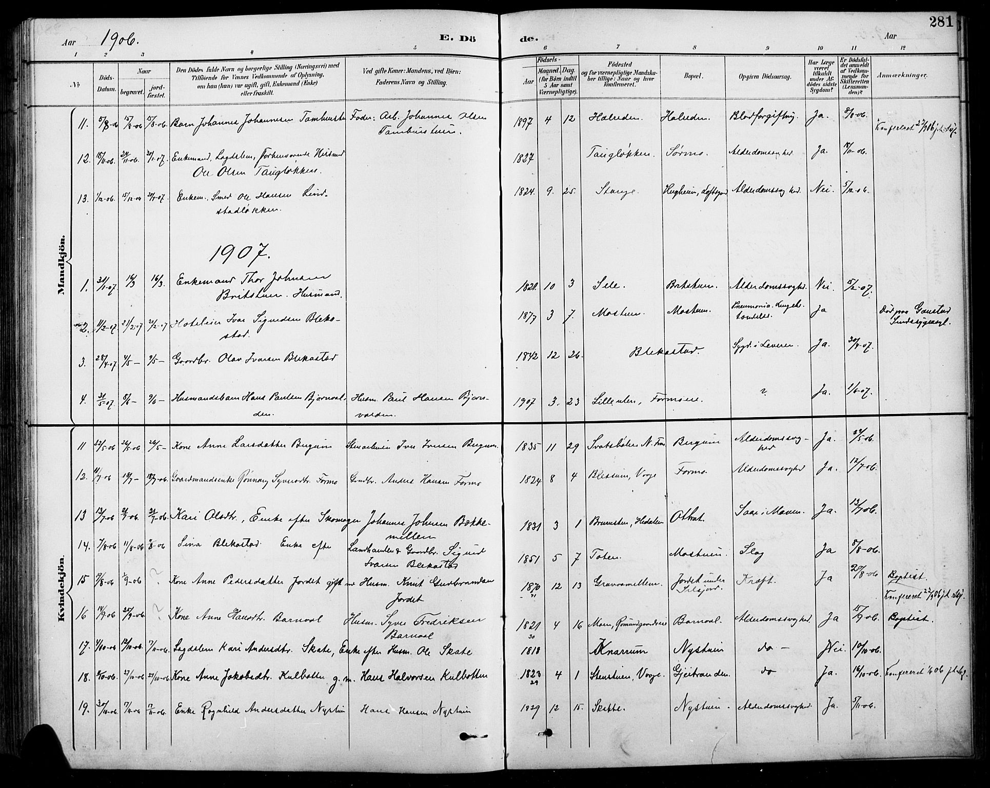 Sel prestekontor, SAH/PREST-074/H/Ha/Hab/L0001: Parish register (copy) no. 1, 1894-1923, p. 281
