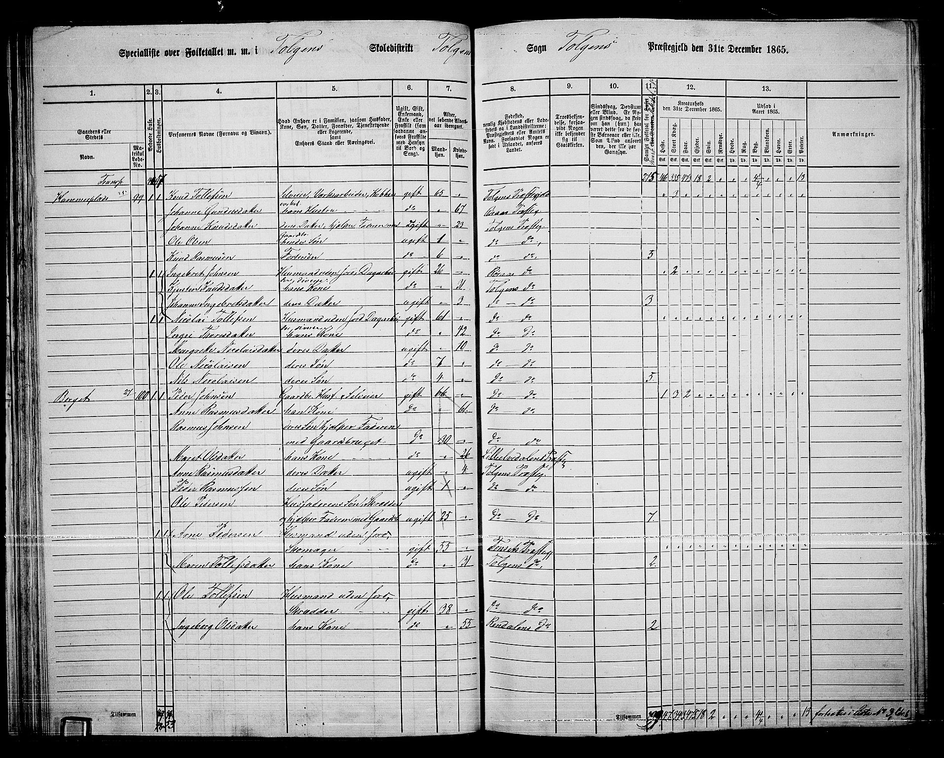 RA, 1865 census for Tolga, 1865, p. 47