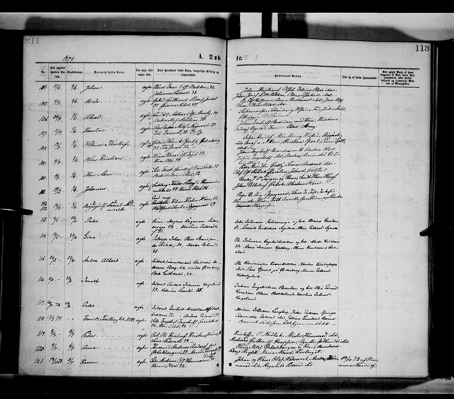 Elverum prestekontor, AV/SAH-PREST-044/H/Ha/Haa/L0011: Parish register (official) no. 11, 1869-1879, p. 113