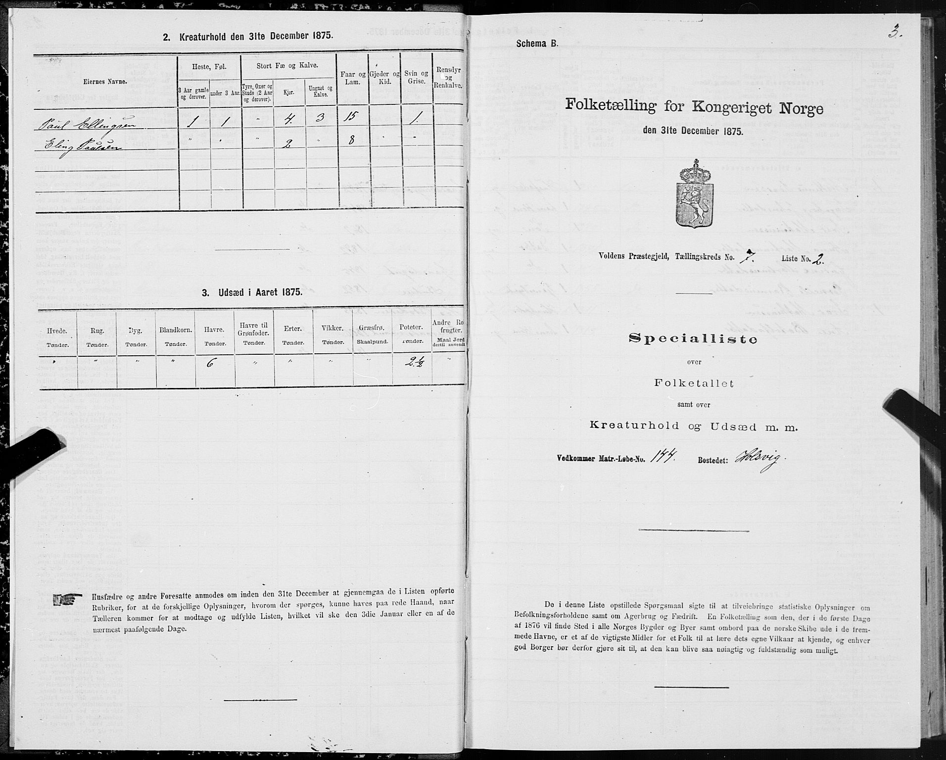 SAT, 1875 census for 1519P Volda, 1875, p. 5003