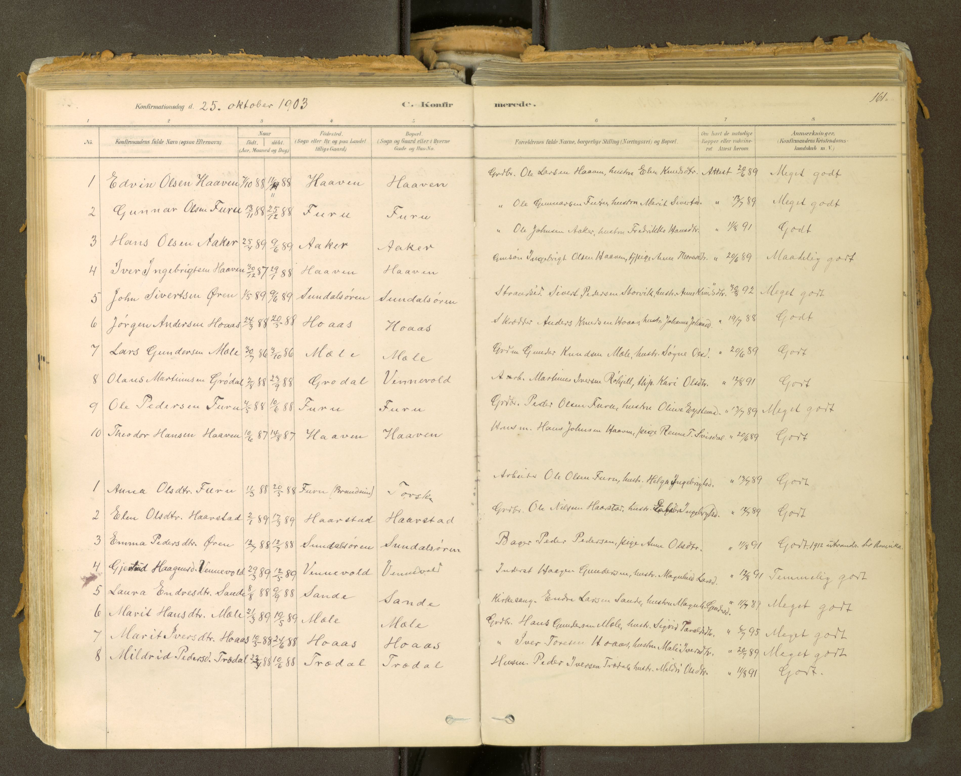 Sunndal sokneprestkontor, SAT/A-1085/1/I/I1/I1a: Parish register (official) no. 2, 1877-1914, p. 161