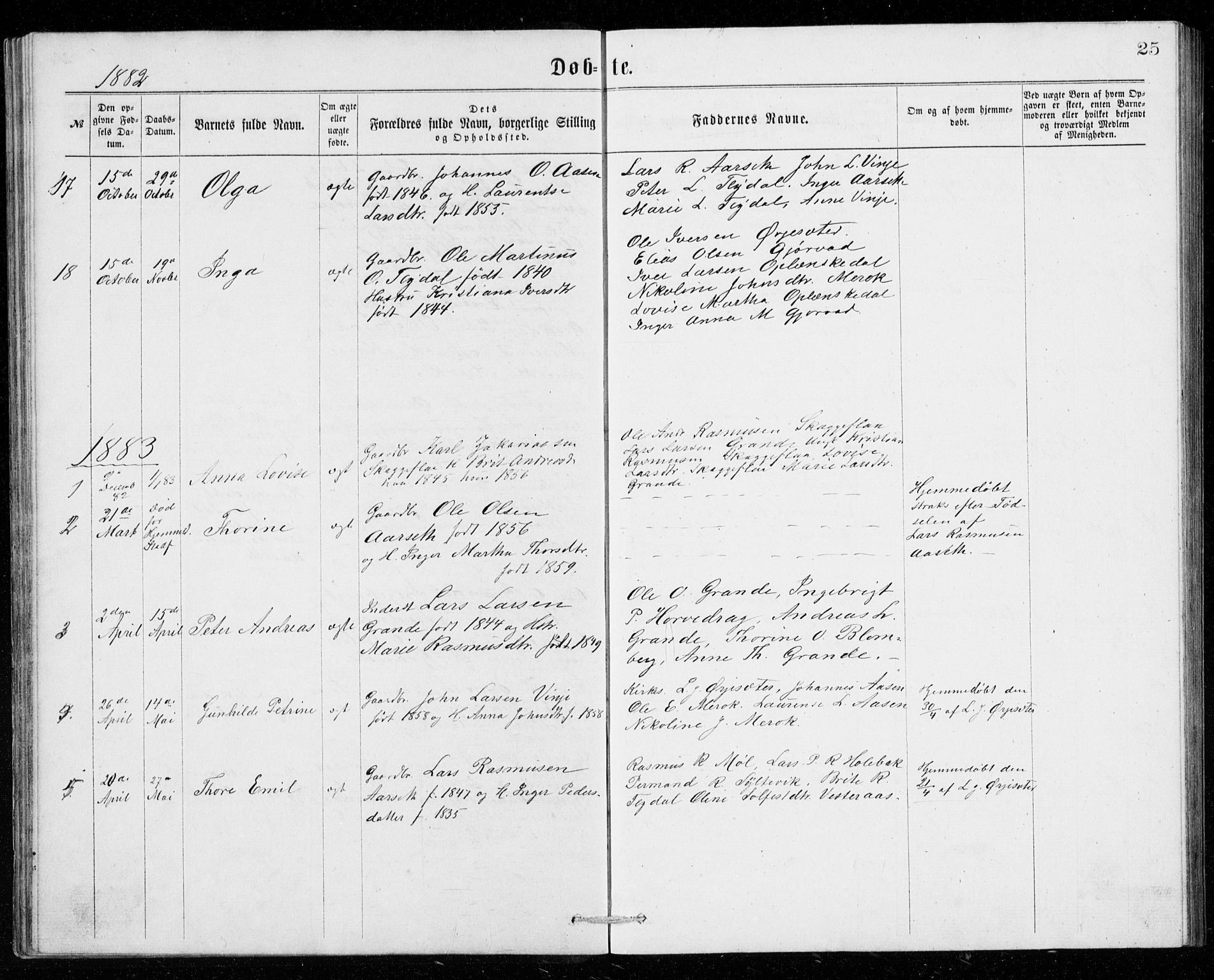 Ministerialprotokoller, klokkerbøker og fødselsregistre - Møre og Romsdal, AV/SAT-A-1454/518/L0235: Parish register (copy) no. 518C02, 1867-1888, p. 25