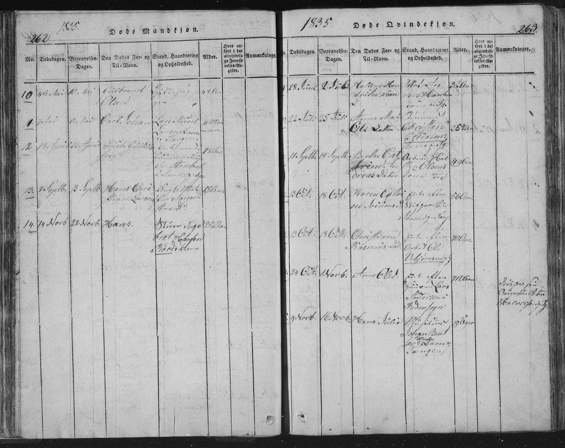 Strømsø kirkebøker, AV/SAKO-A-246/F/Fb/L0004: Parish register (official) no. II 4, 1814-1843, p. 262-263