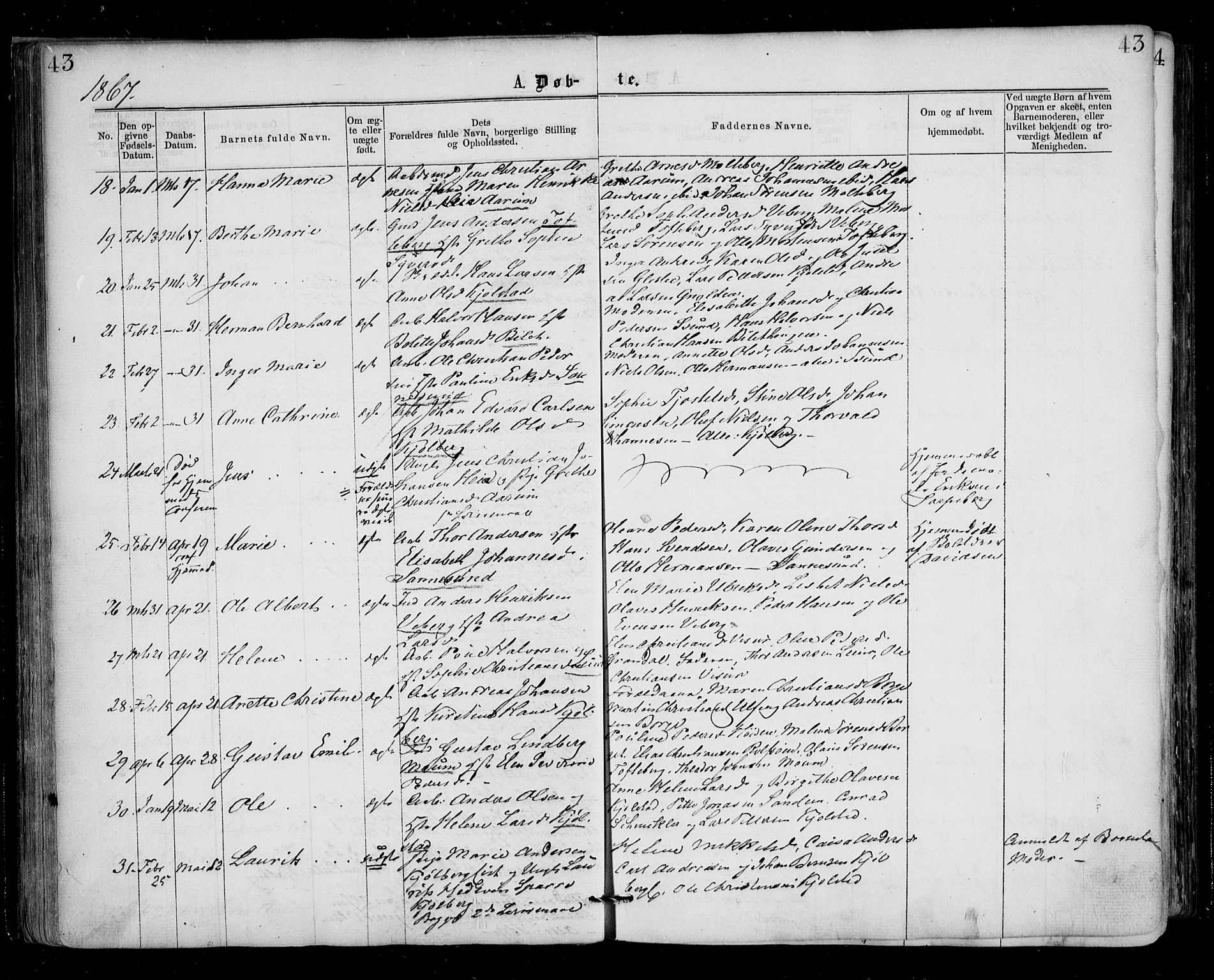 Borge prestekontor Kirkebøker, AV/SAO-A-10903/F/Fa/L0006: Parish register (official) no. I 6, 1861-1874, p. 43