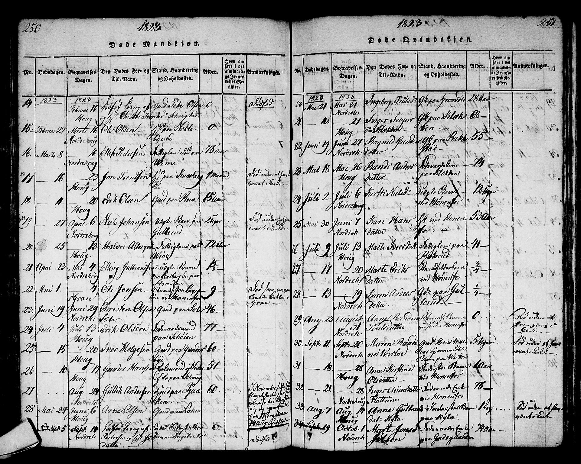 Norderhov kirkebøker, SAKO/A-237/G/Ga/L0002: Parish register (copy) no. I 2, 1814-1867, p. 250-251