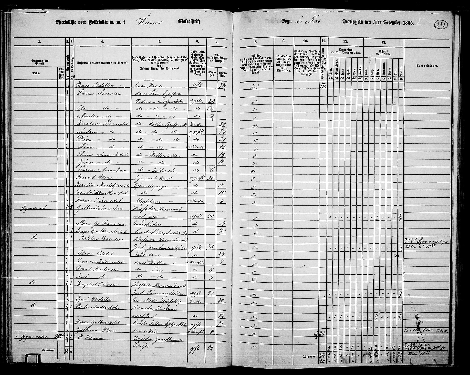 RA, 1865 census for Nes, 1865, p. 234