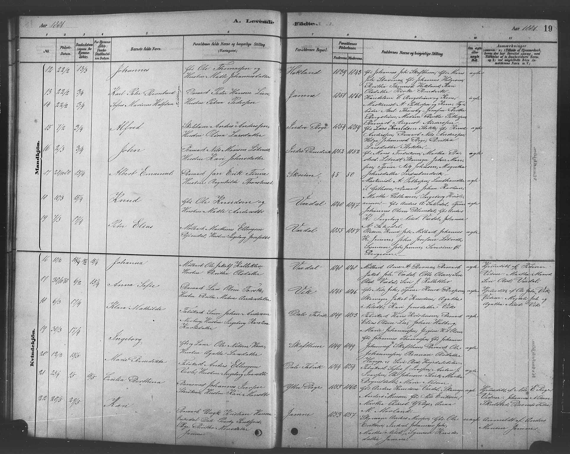 Bruvik Sokneprestembete, AV/SAB-A-74701/H/Hab: Parish register (copy) no. A 1, 1878-1907, p. 19