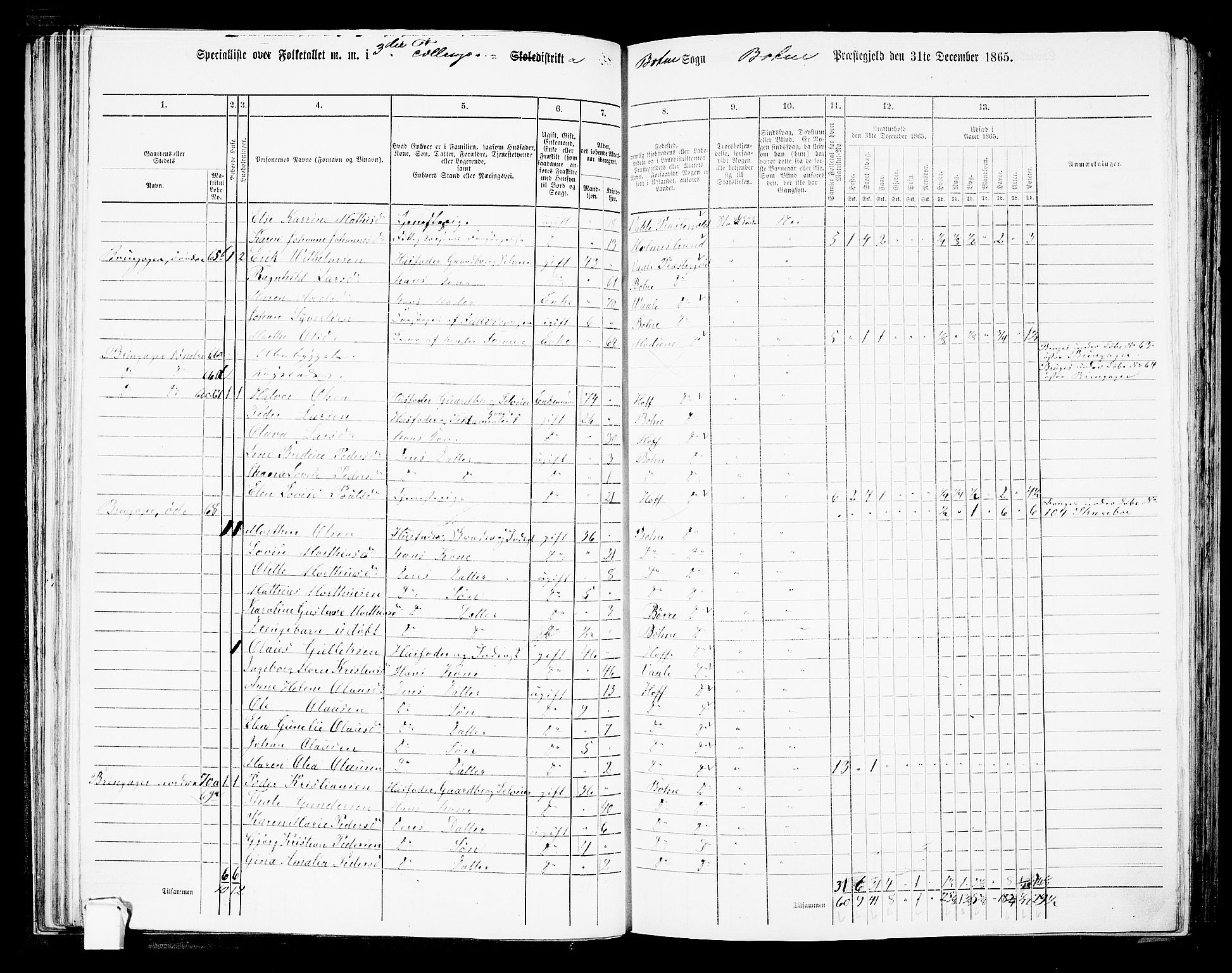 RA, 1865 census for Botne/Botne og Hillestad, 1865, p. 57