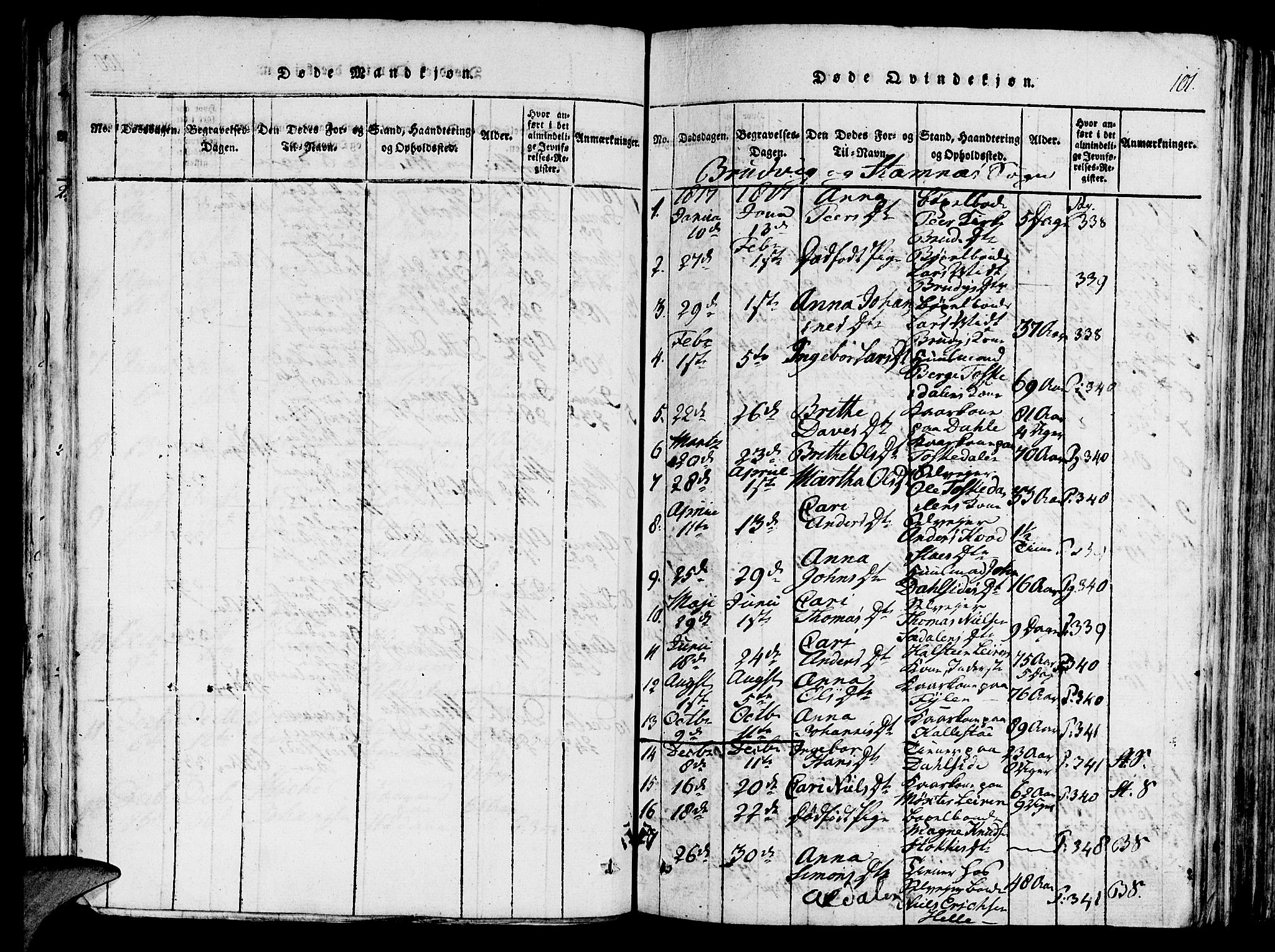 Haus sokneprestembete, AV/SAB-A-75601/H/Haa: Parish register (official) no. A 12, 1816-1821, p. 101