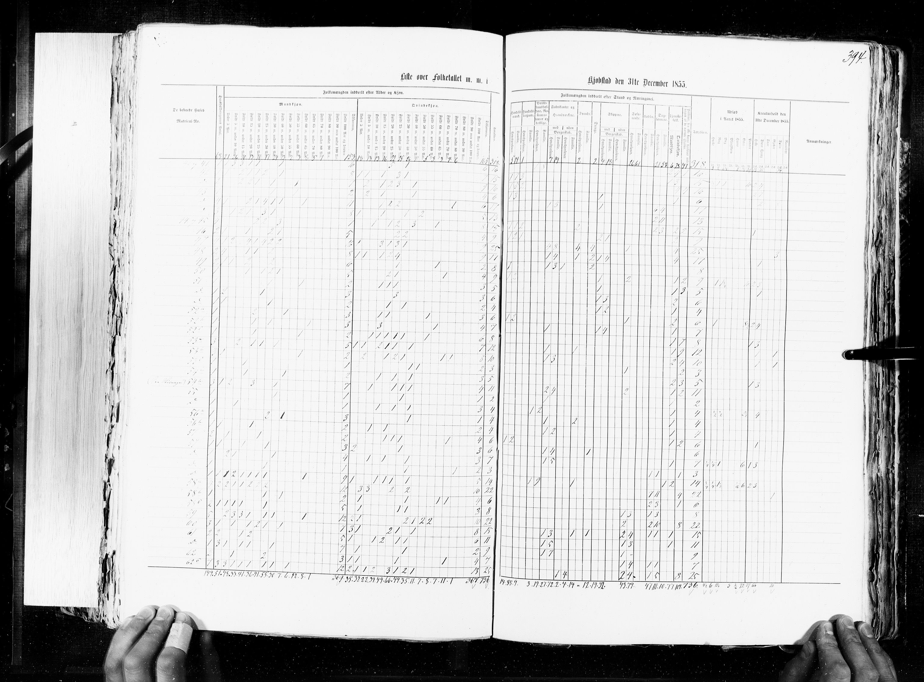 RA, Census 1855, vol. 7: Fredrikshald-Kragerø, 1855, p. 394