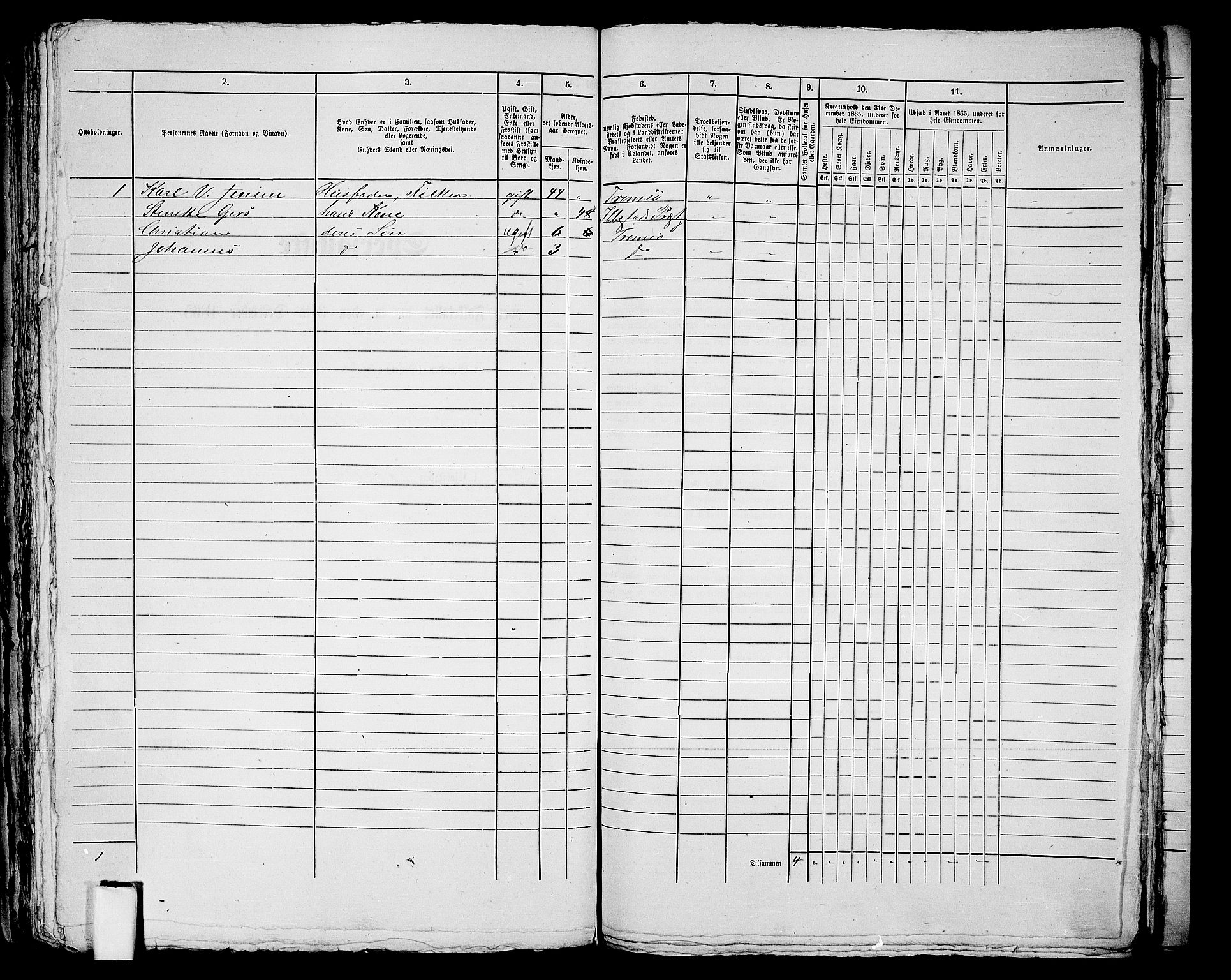 RA, 1865 census for Tromsø, 1865, p. 704