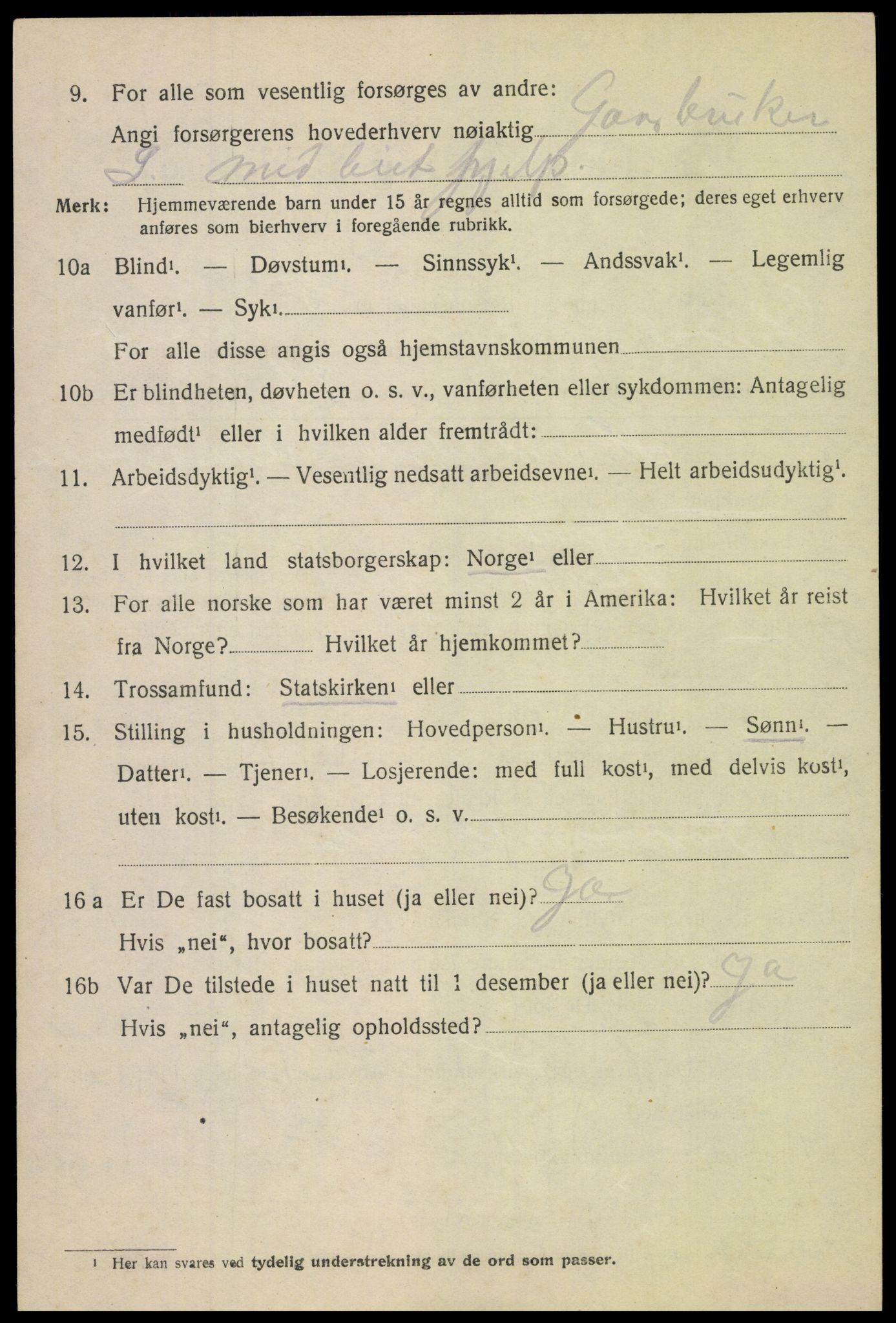 SAH, 1920 census for Heidal, 1920, p. 505