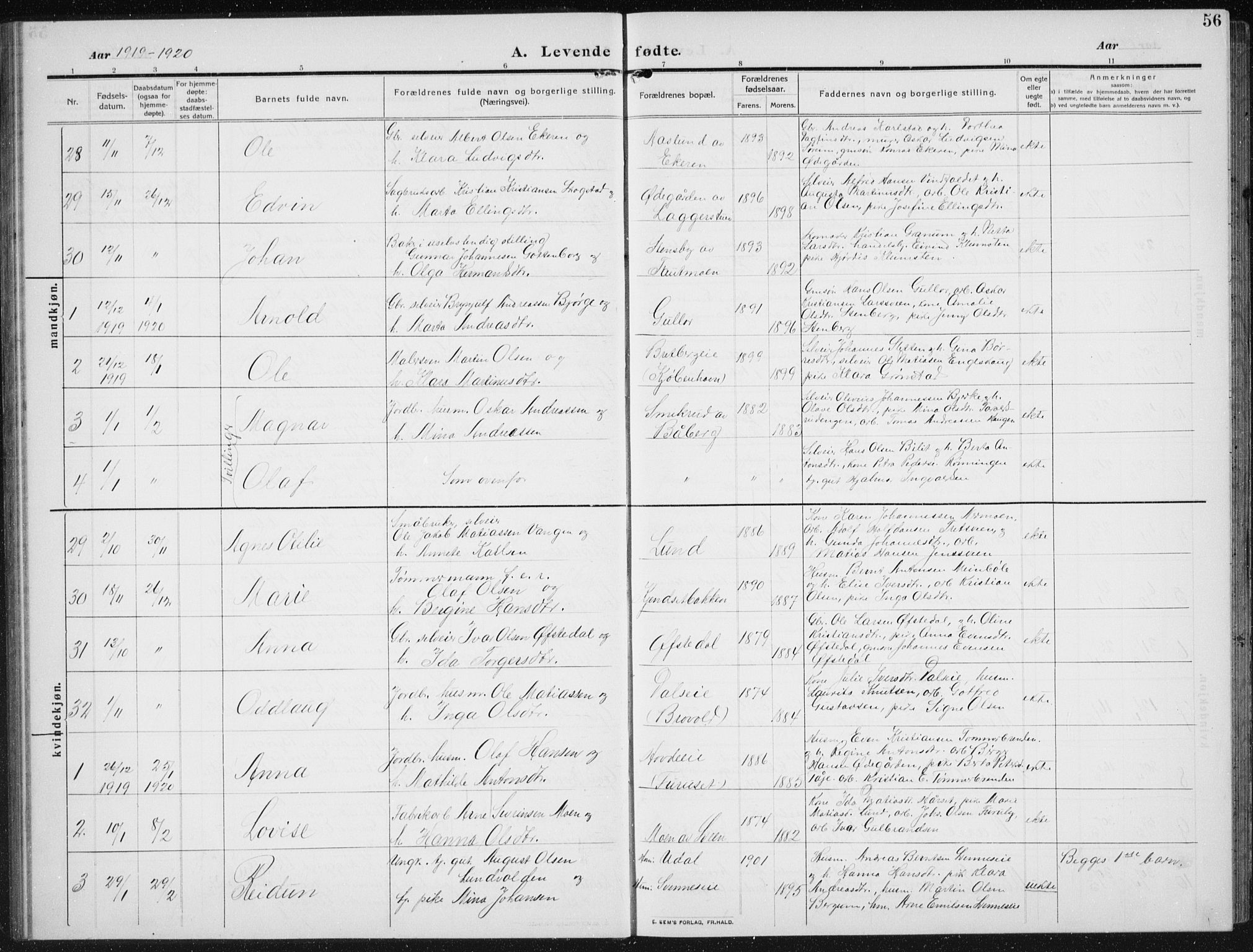 Biri prestekontor, SAH/PREST-096/H/Ha/Hab/L0006: Parish register (copy) no. 6, 1909-1938, p. 56
