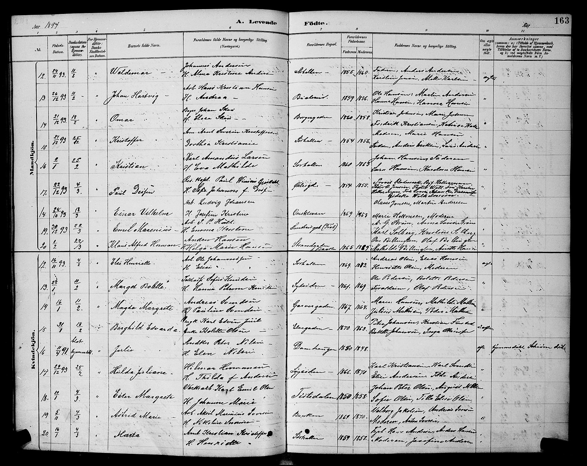 Halden prestekontor Kirkebøker, SAO/A-10909/G/Ga/L0008: Parish register (copy) no. 8, 1885-1899, p. 163