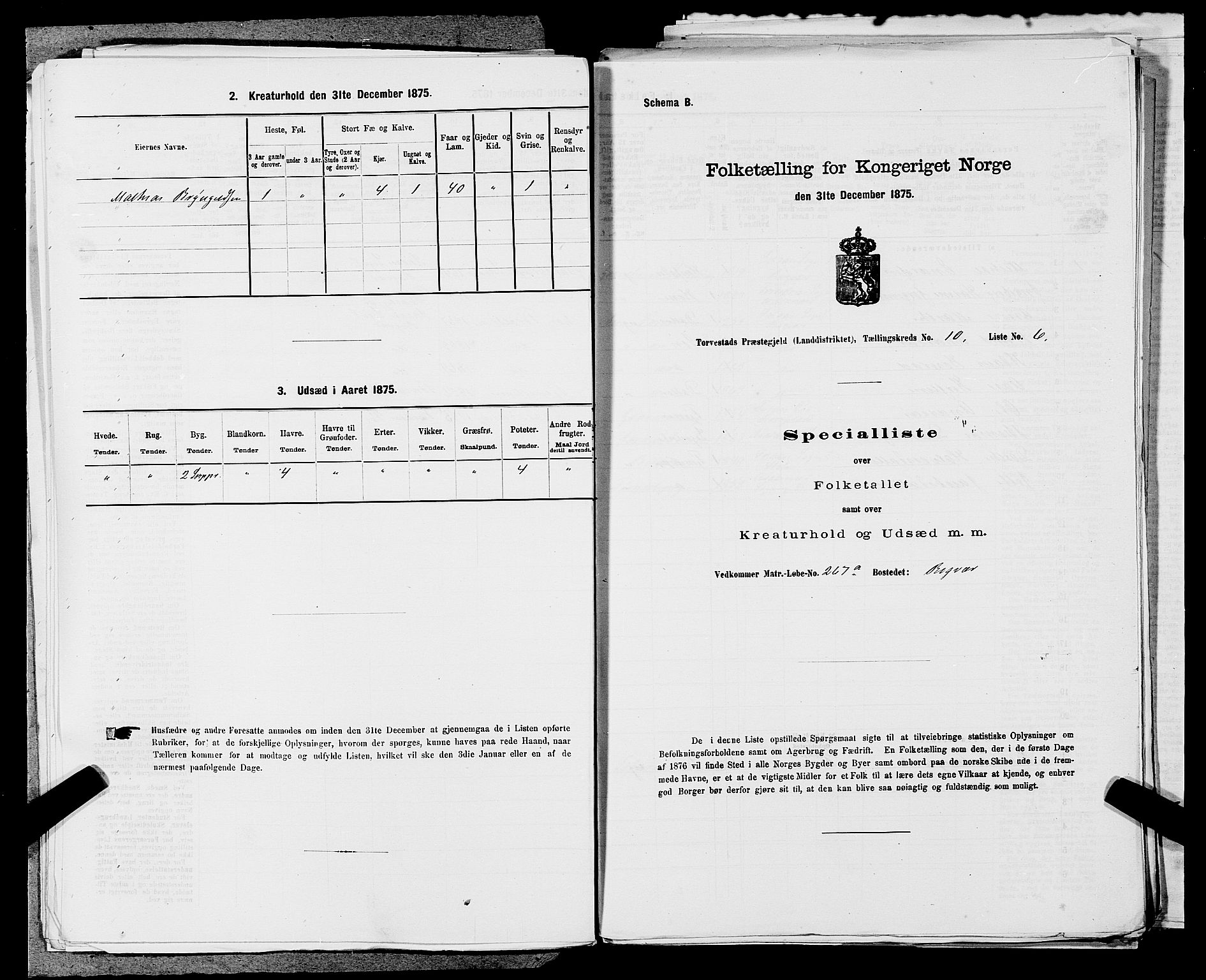 SAST, 1875 census for 1152L Torvastad/Torvastad, Skåre og Utsira, 1875, p. 1257