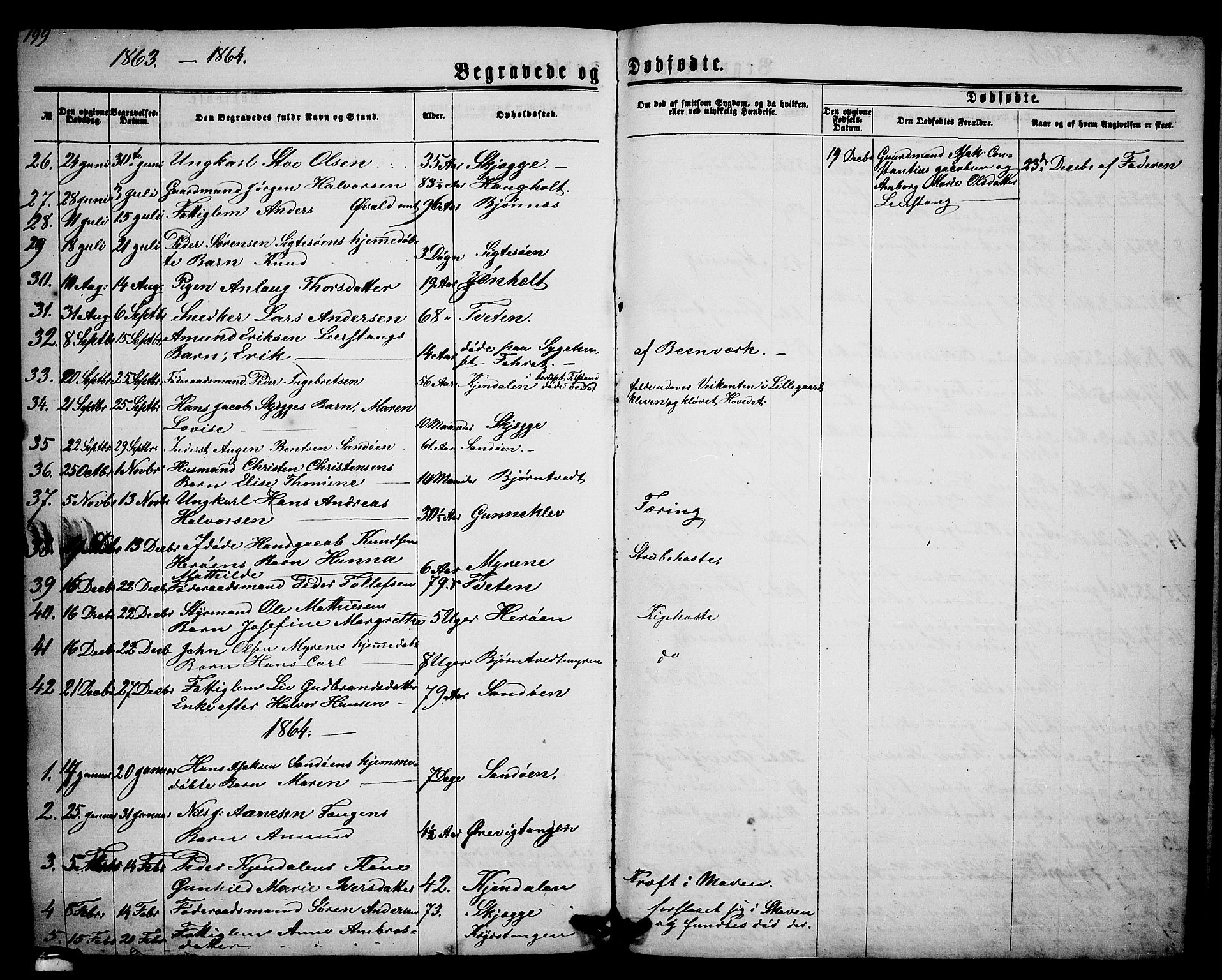 Eidanger kirkebøker, SAKO/A-261/G/Ga/L0001: Parish register (copy) no. 1, 1863-1878, p. 199