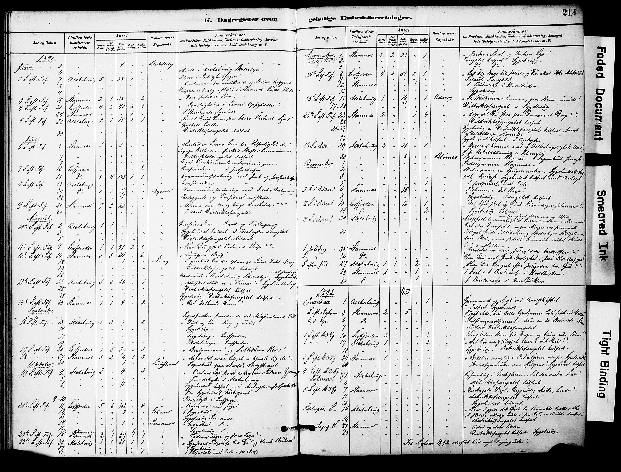 Ministerialprotokoller, klokkerbøker og fødselsregistre - Nordland, AV/SAT-A-1459/830/L0450: Parish register (official) no. 830A14, 1879-1896, p. 214