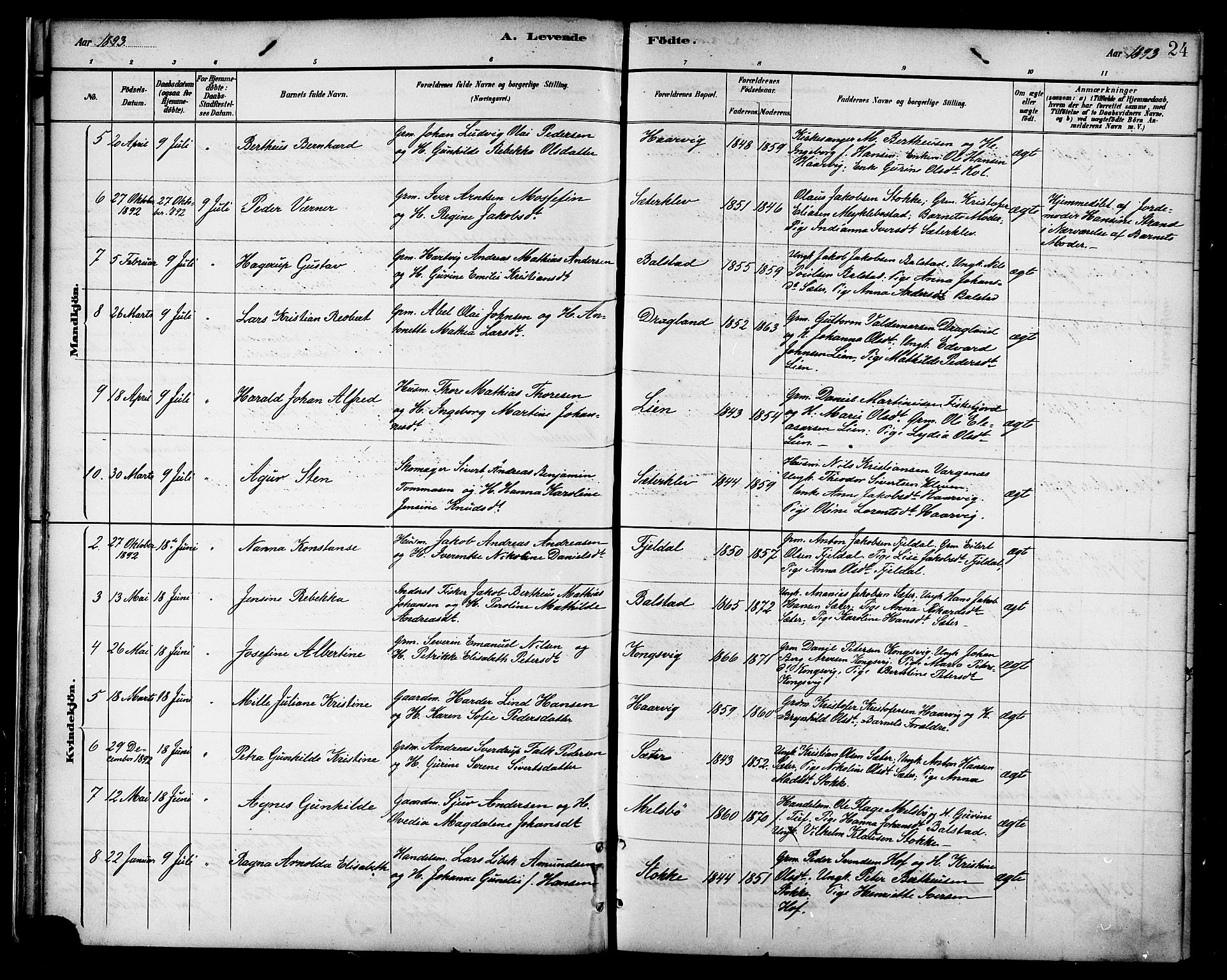 Ministerialprotokoller, klokkerbøker og fødselsregistre - Nordland, AV/SAT-A-1459/865/L0924: Parish register (official) no. 865A02, 1885-1896, p. 24