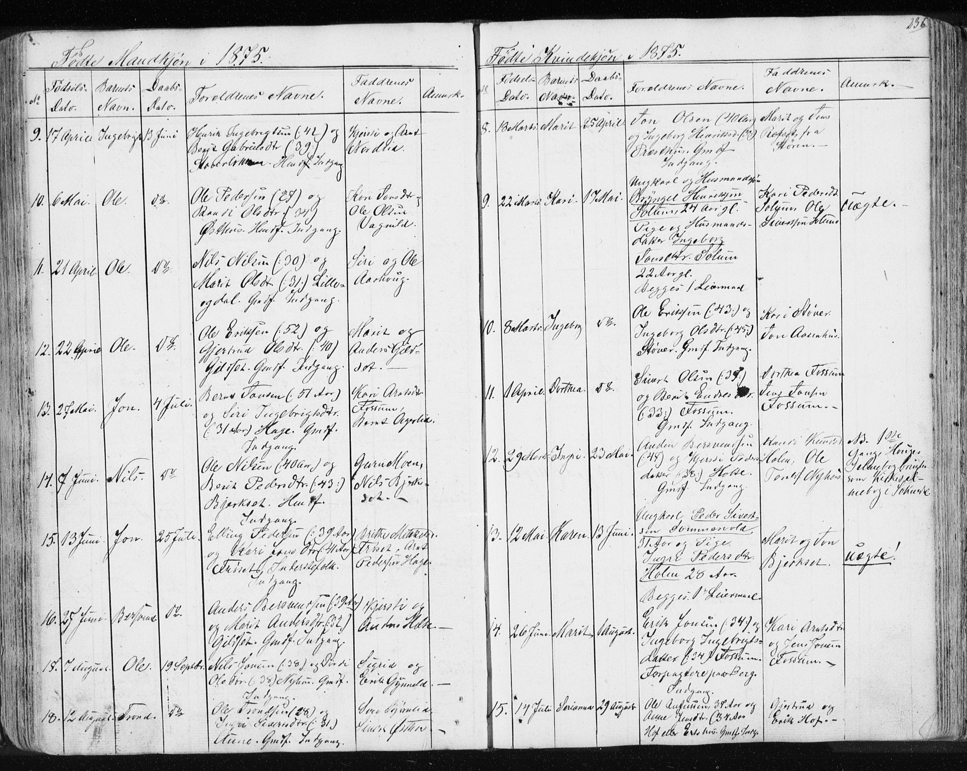 Ministerialprotokoller, klokkerbøker og fødselsregistre - Sør-Trøndelag, SAT/A-1456/689/L1043: Parish register (copy) no. 689C02, 1816-1892, p. 236