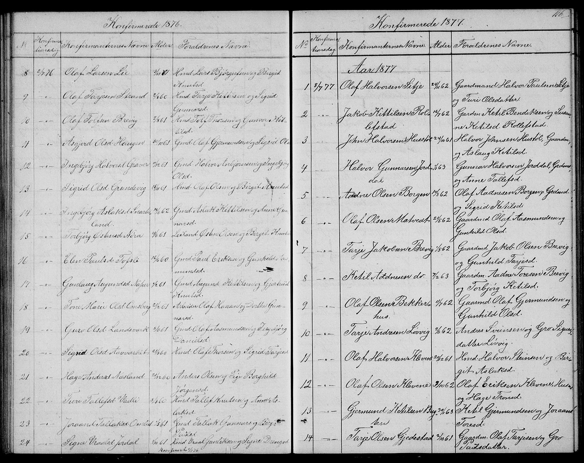 Fyresdal kirkebøker, SAKO/A-263/G/Ga/L0004: Parish register (copy) no. I 4, 1864-1892, p. 116