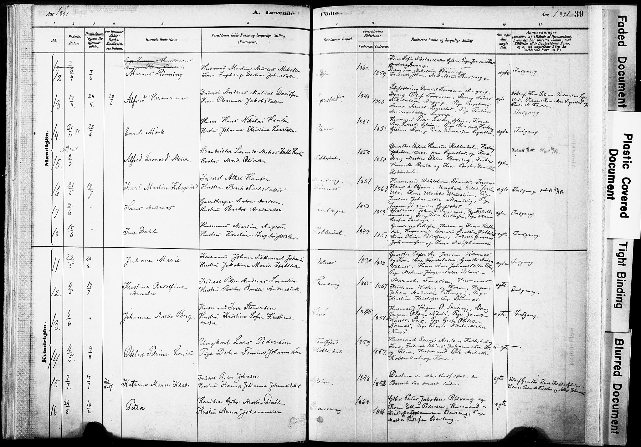 Ministerialprotokoller, klokkerbøker og fødselsregistre - Nordland, AV/SAT-A-1459/835/L0525: Parish register (official) no. 835A03I, 1881-1910, p. 39