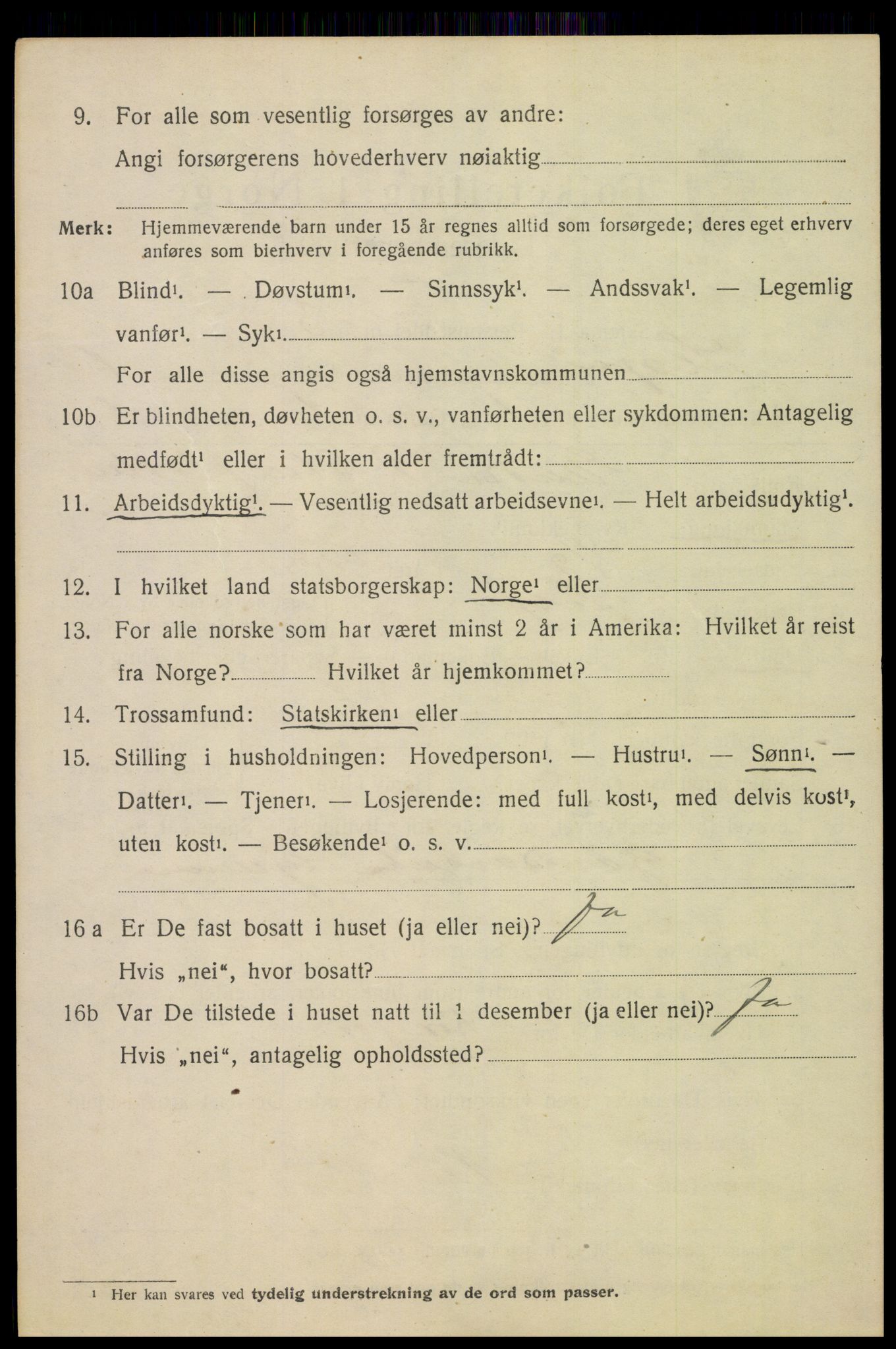 SAH, 1920 census for Lesja, 1920, p. 1051