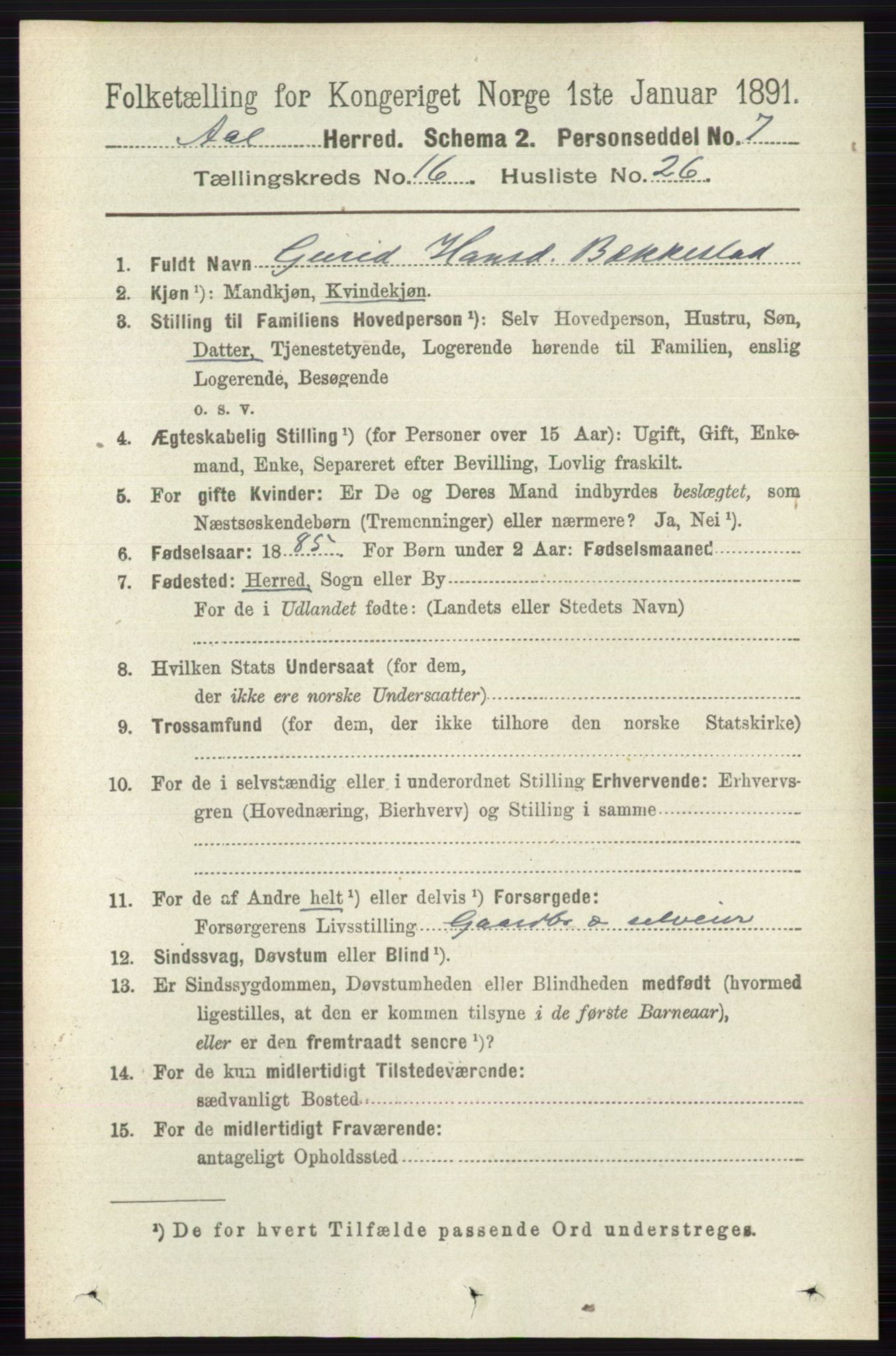 RA, 1891 census for 0619 Ål, 1891, p. 4205