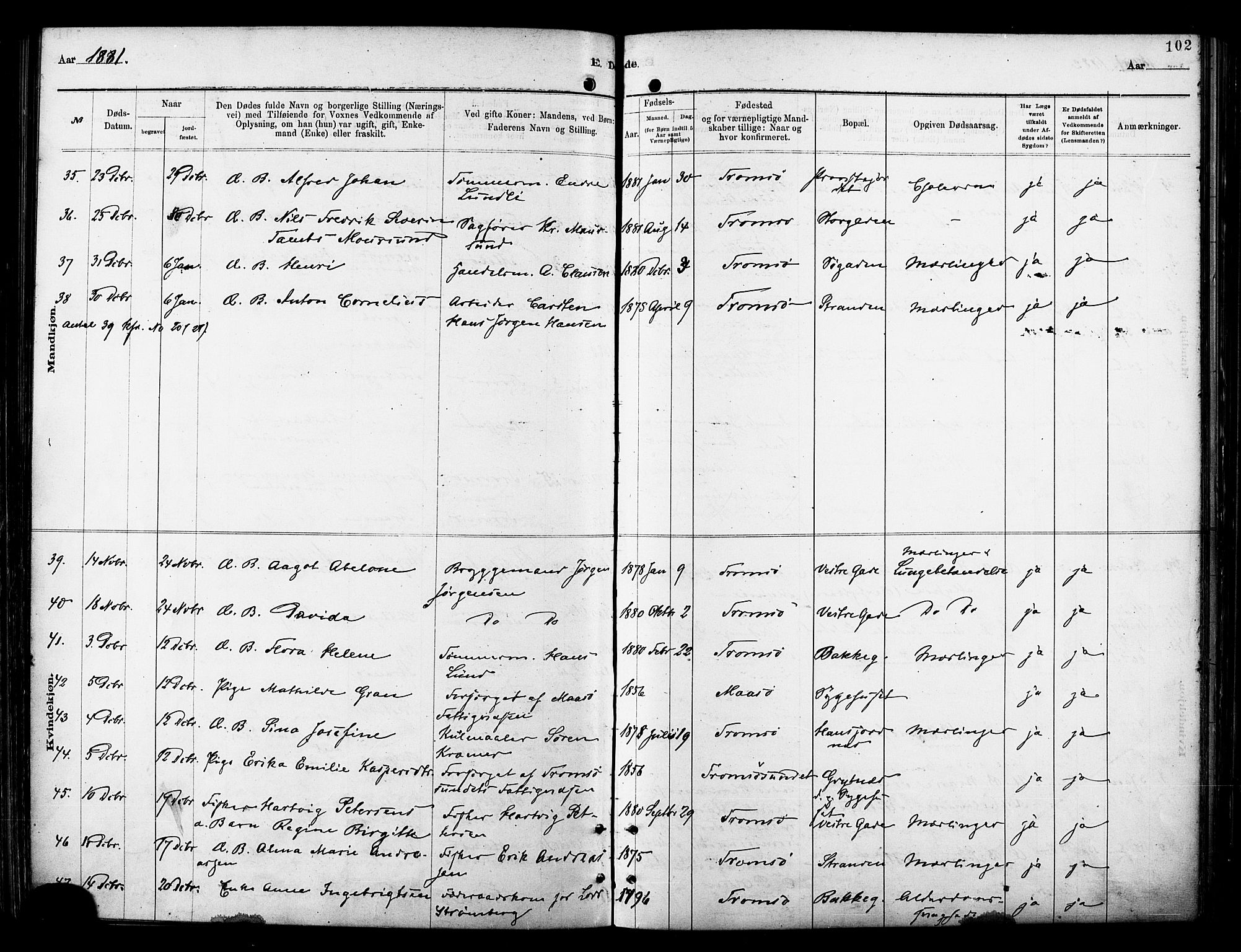 Tromsø sokneprestkontor/stiftsprosti/domprosti, SATØ/S-1343/G/Ga/L0014kirke: Parish register (official) no. 14, 1878-1888, p. 102
