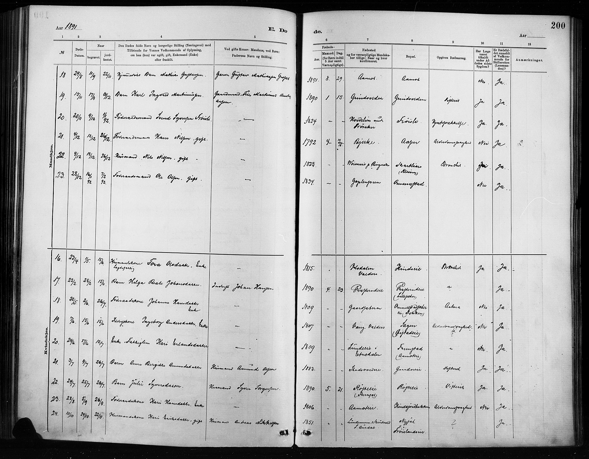 Nordre Land prestekontor, AV/SAH-PREST-124/H/Ha/Haa/L0004: Parish register (official) no. 4, 1882-1896, p. 200