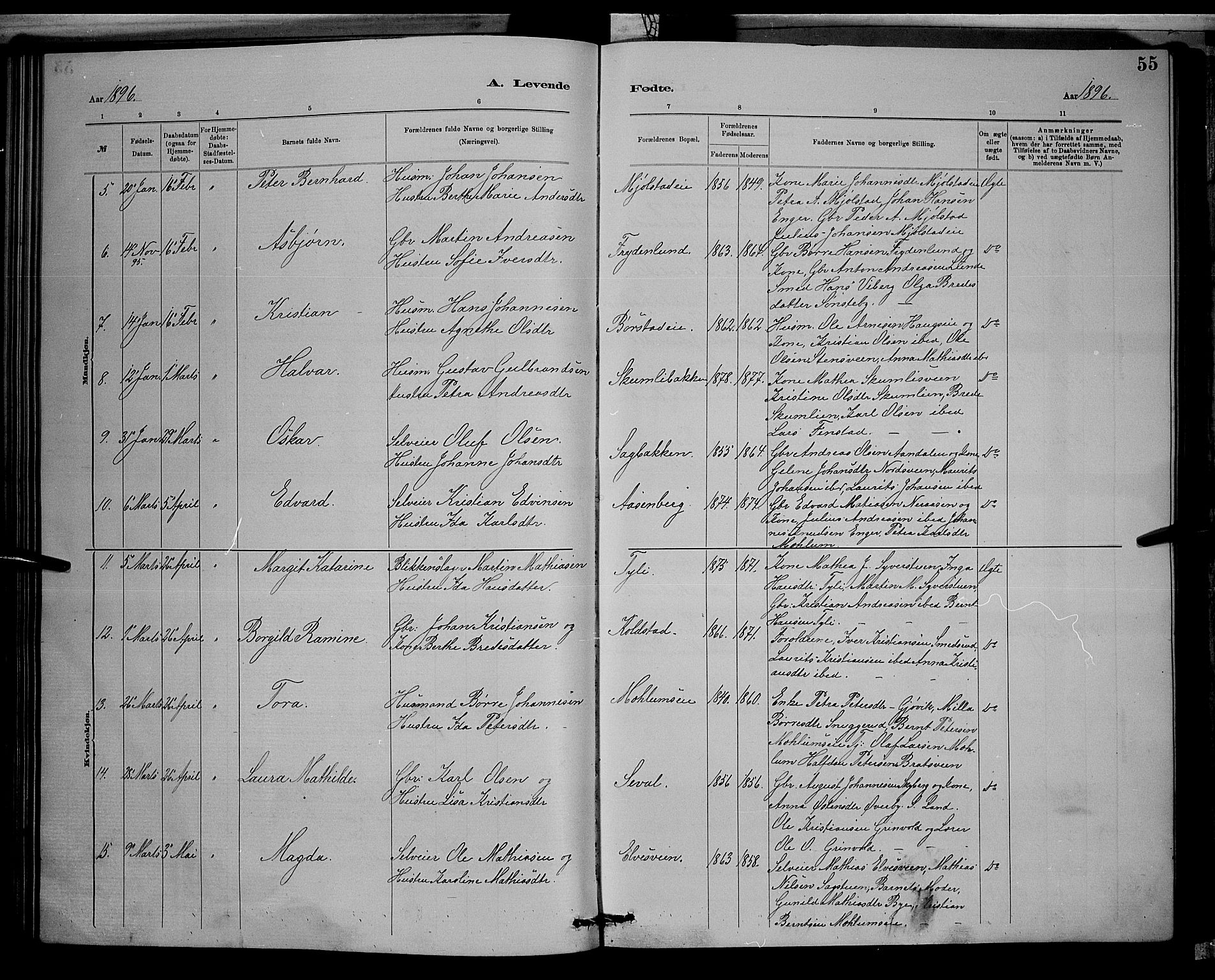 Vardal prestekontor, SAH/PREST-100/H/Ha/Hab/L0008: Parish register (copy) no. 8, 1881-1898, p. 55
