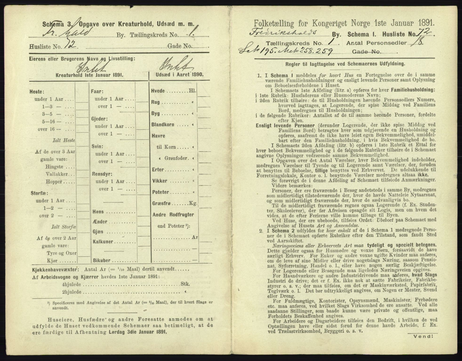 RA, 1891 census for 0101 Fredrikshald, 1891, p. 196