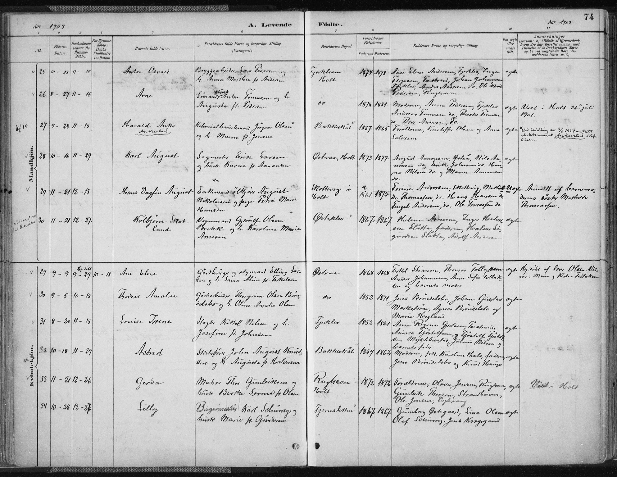 Tvedestrand sokneprestkontor, SAK/1111-0042/F/Fa/L0001: Parish register (official) no. A 1, 1885-1916, p. 74