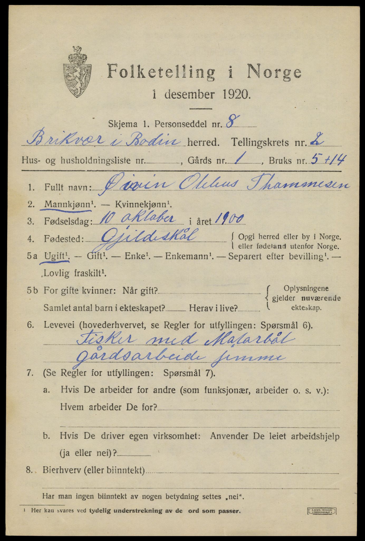 SAT, 1920 census for Bodin, 1920, p. 1960