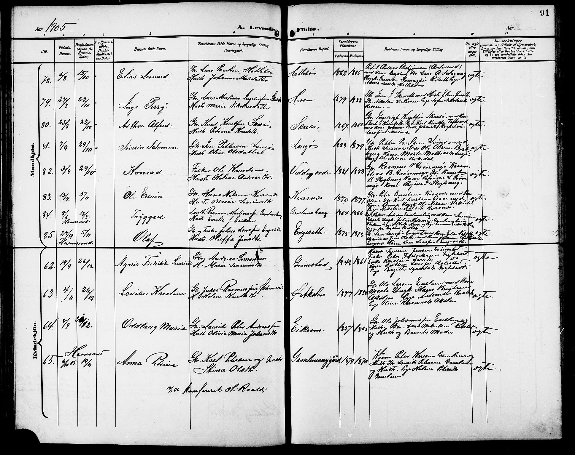 Ministerialprotokoller, klokkerbøker og fødselsregistre - Møre og Romsdal, AV/SAT-A-1454/528/L0432: Parish register (copy) no. 528C13, 1898-1918, p. 91