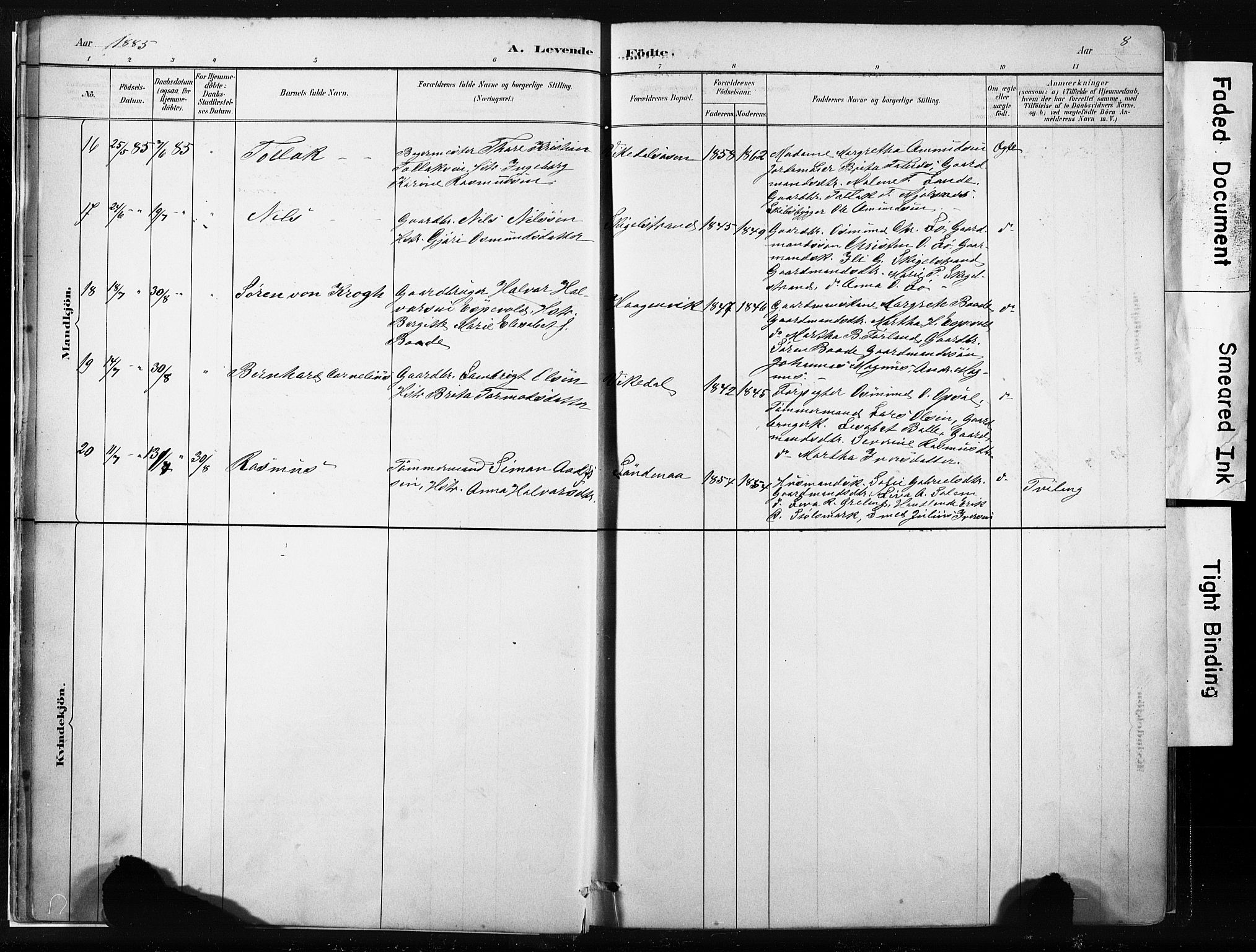 Vikedal sokneprestkontor, AV/SAST-A-101840/01/IV: Parish register (official) no. A 10, 1884-1907, p. 8