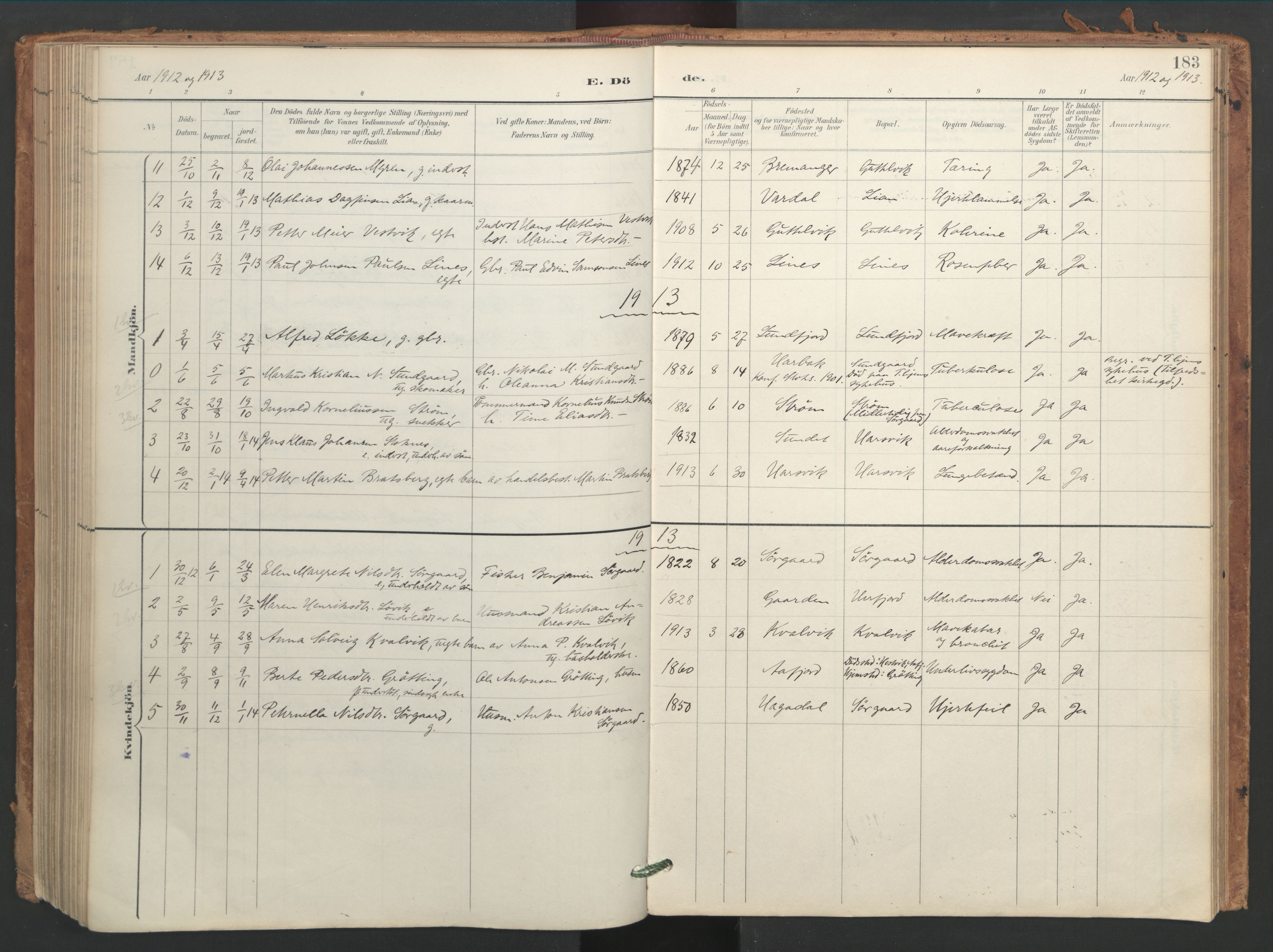 Ministerialprotokoller, klokkerbøker og fødselsregistre - Sør-Trøndelag, SAT/A-1456/656/L0693: Parish register (official) no. 656A02, 1894-1913, p. 183