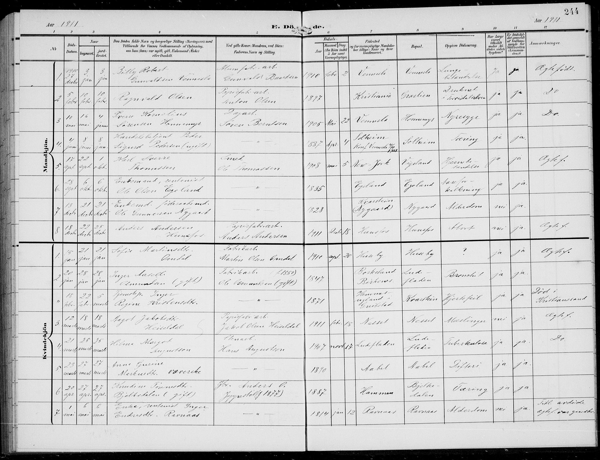 Vennesla sokneprestkontor, SAK/1111-0045/Fb/Fbb/L0005: Parish register (copy) no. B 5, 1903-1913, p. 244