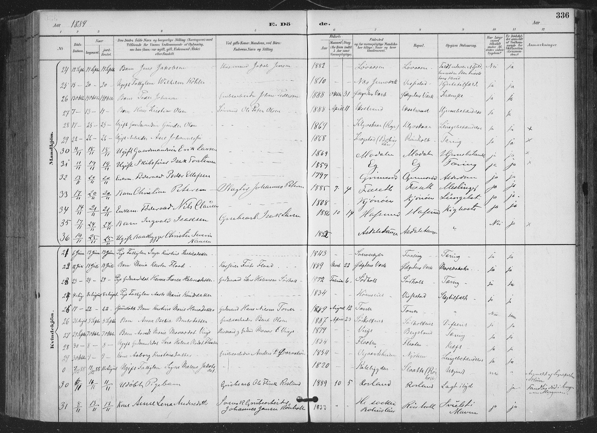 Bamble kirkebøker, AV/SAKO-A-253/F/Fa/L0008: Parish register (official) no. I 8, 1888-1900, p. 336