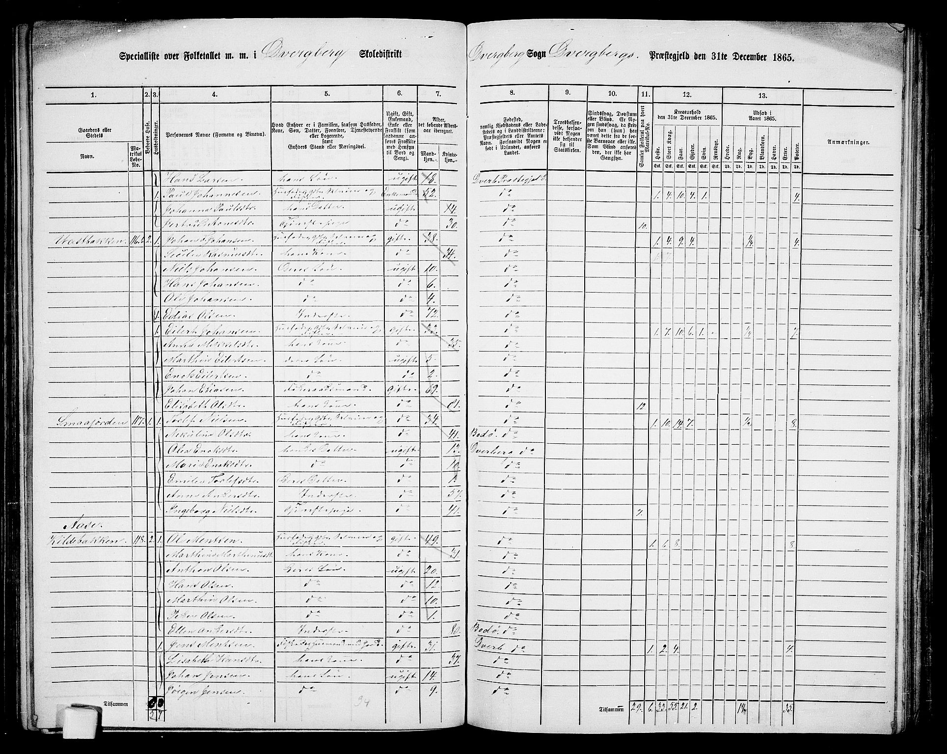 RA, 1865 census for Dverberg, 1865, p. 10