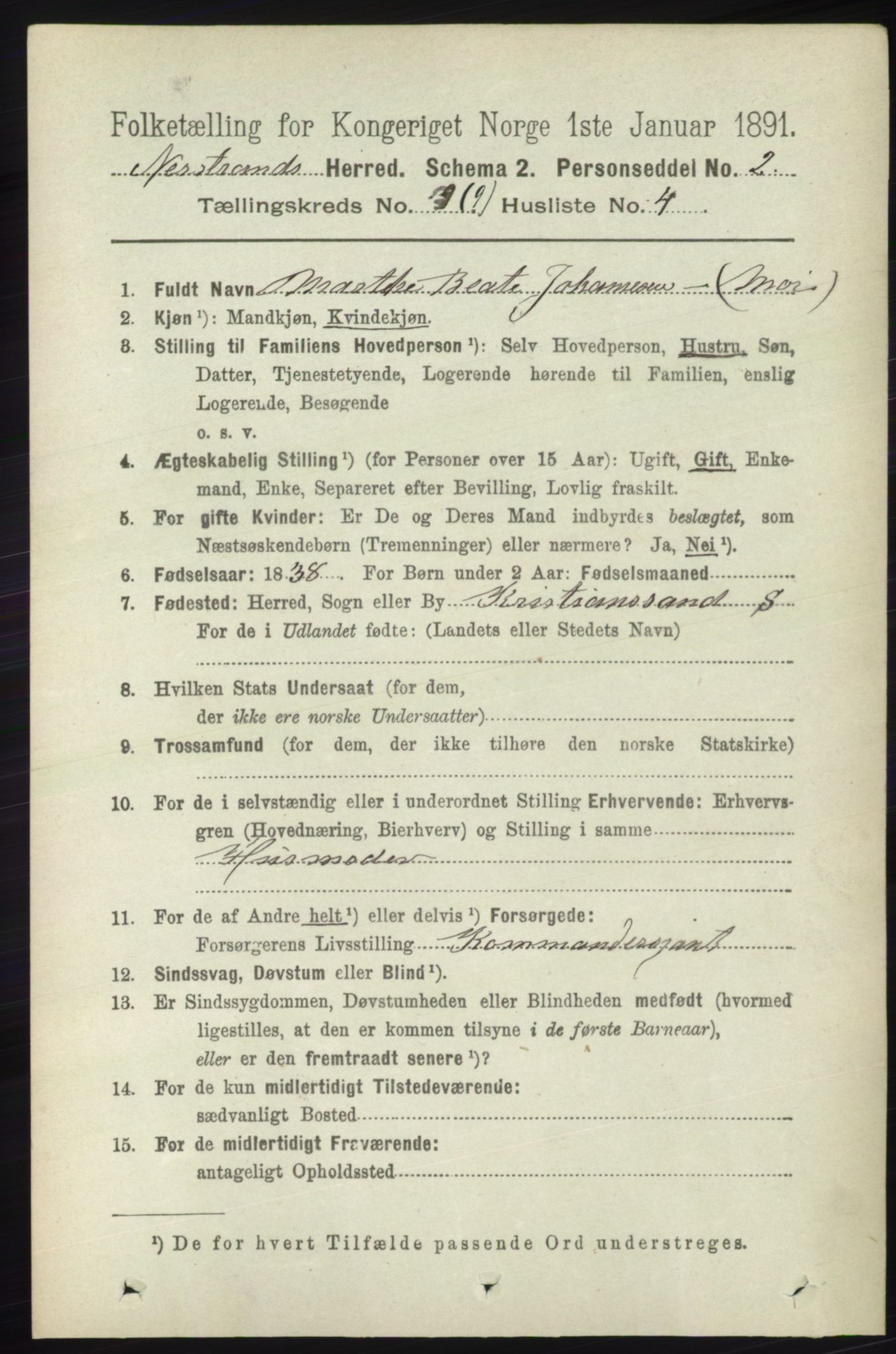 RA, 1891 census for 1139 Nedstrand, 1891, p. 1674