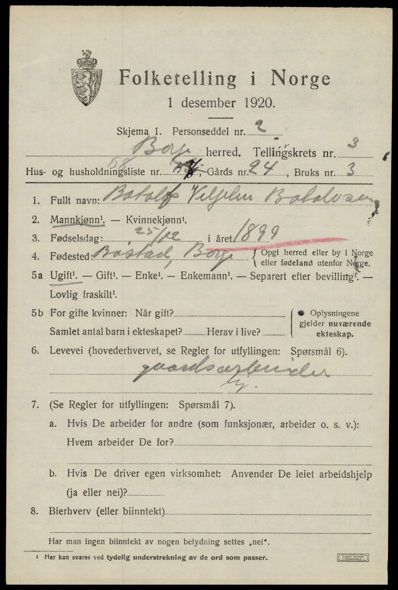 SAT, 1920 census for Borge, 1920, p. 3919